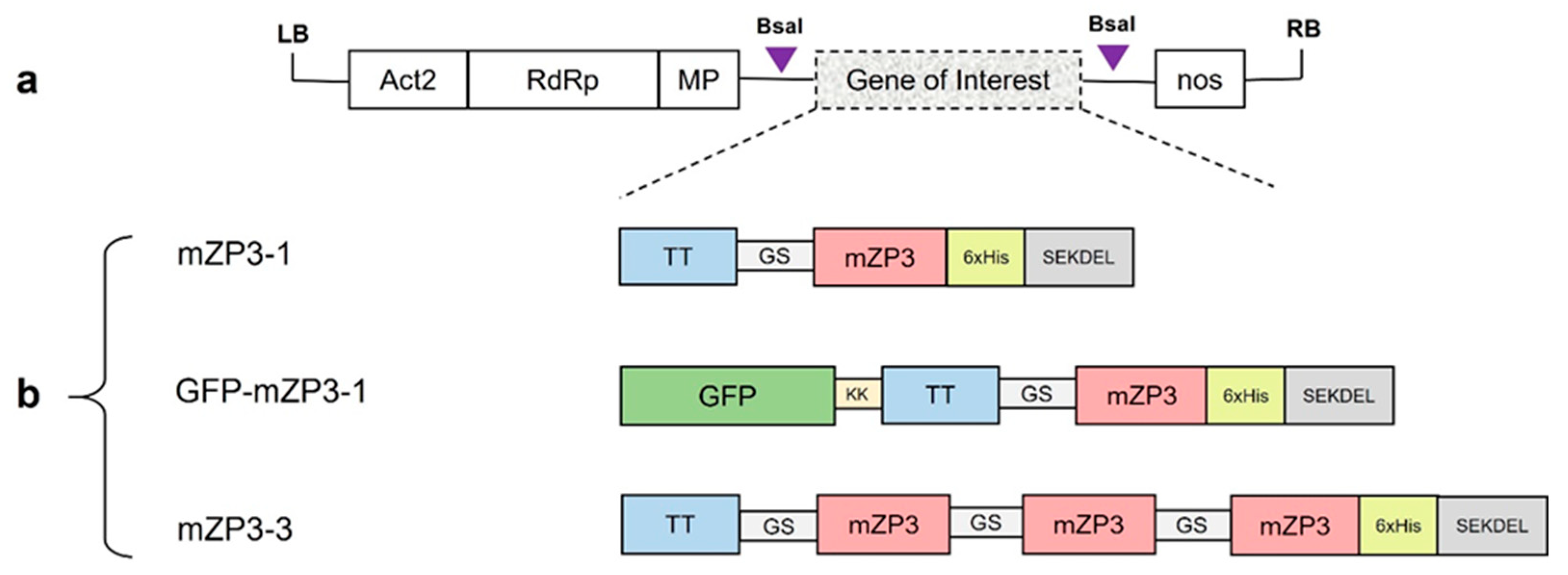 Vaccines 11 00153 g001 Vaccines 11 00153 g001
