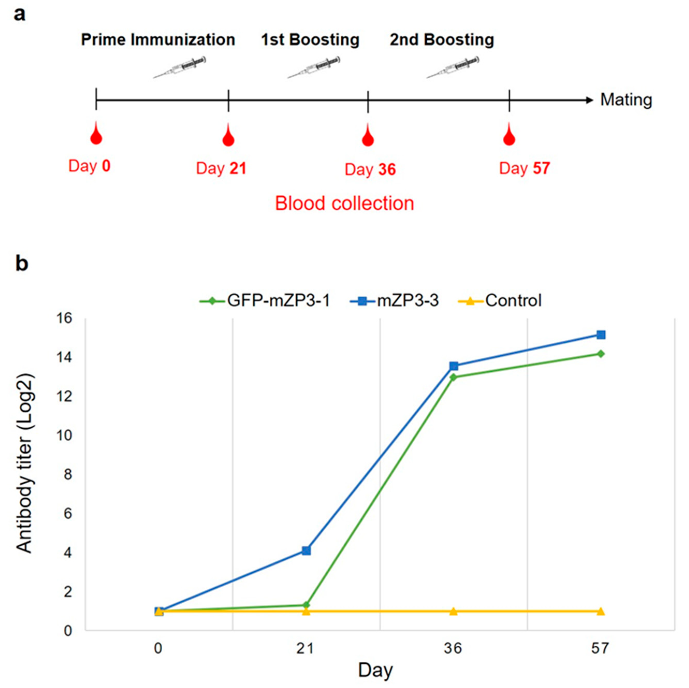 Vaccines 11 00153 g006 Vaccines 11 00153 g006