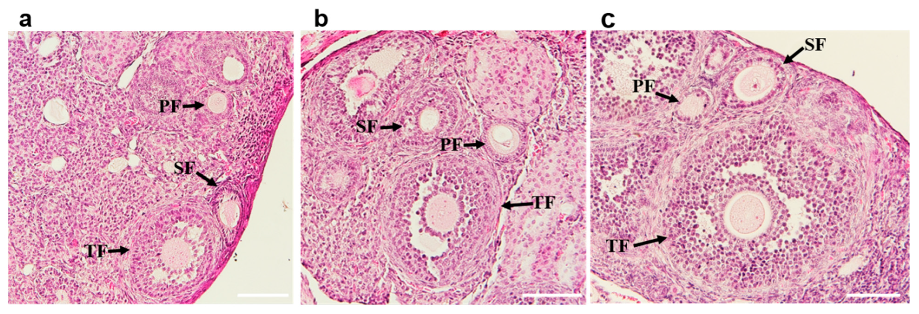 Vaccines 11 00153 g008 Vaccines 11 00153 g008