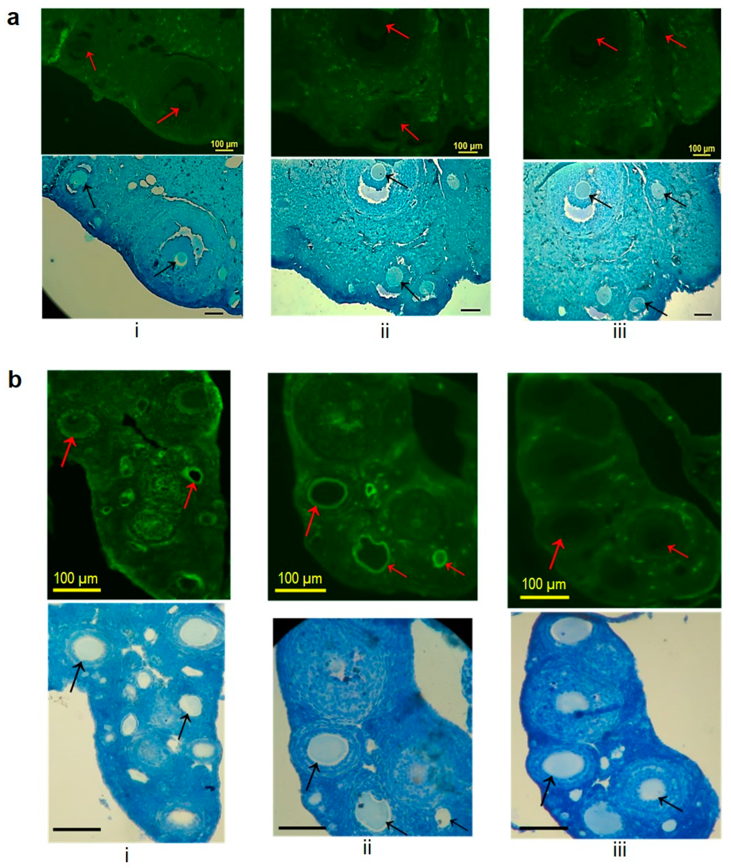 Vaccines 11 00153 g009 Vaccines 11 00153 g009