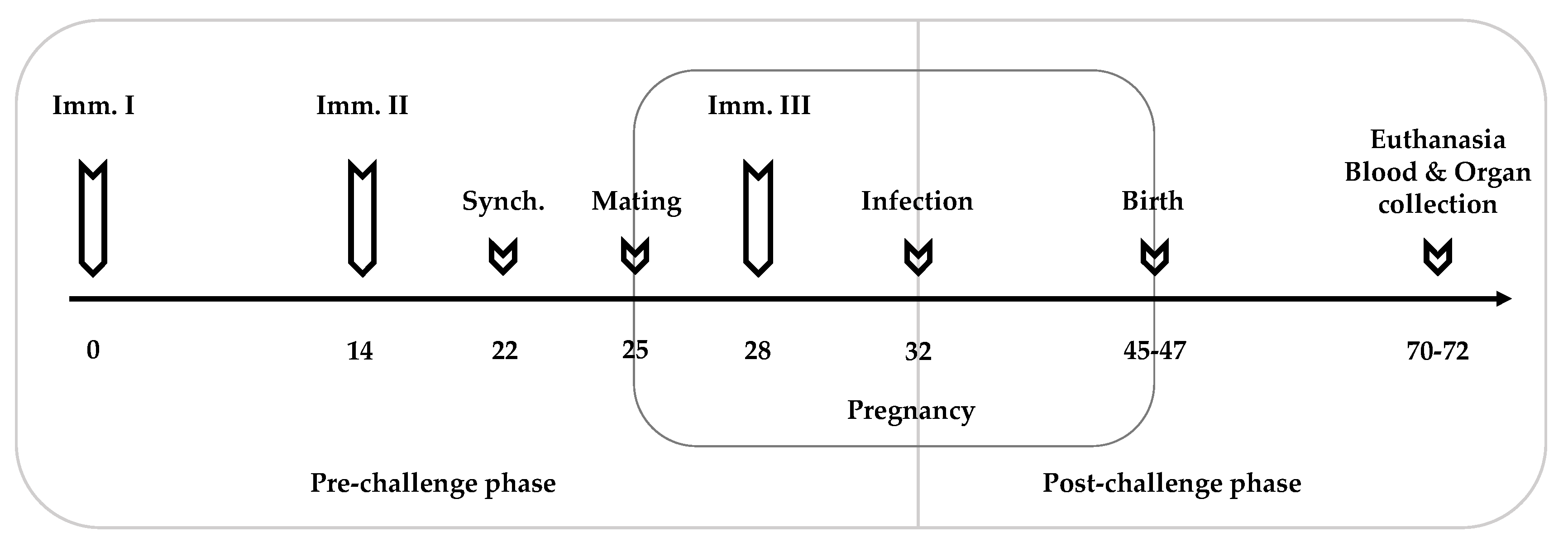 Vaccines 11 00156 g001 Vaccines 11 00156 g001