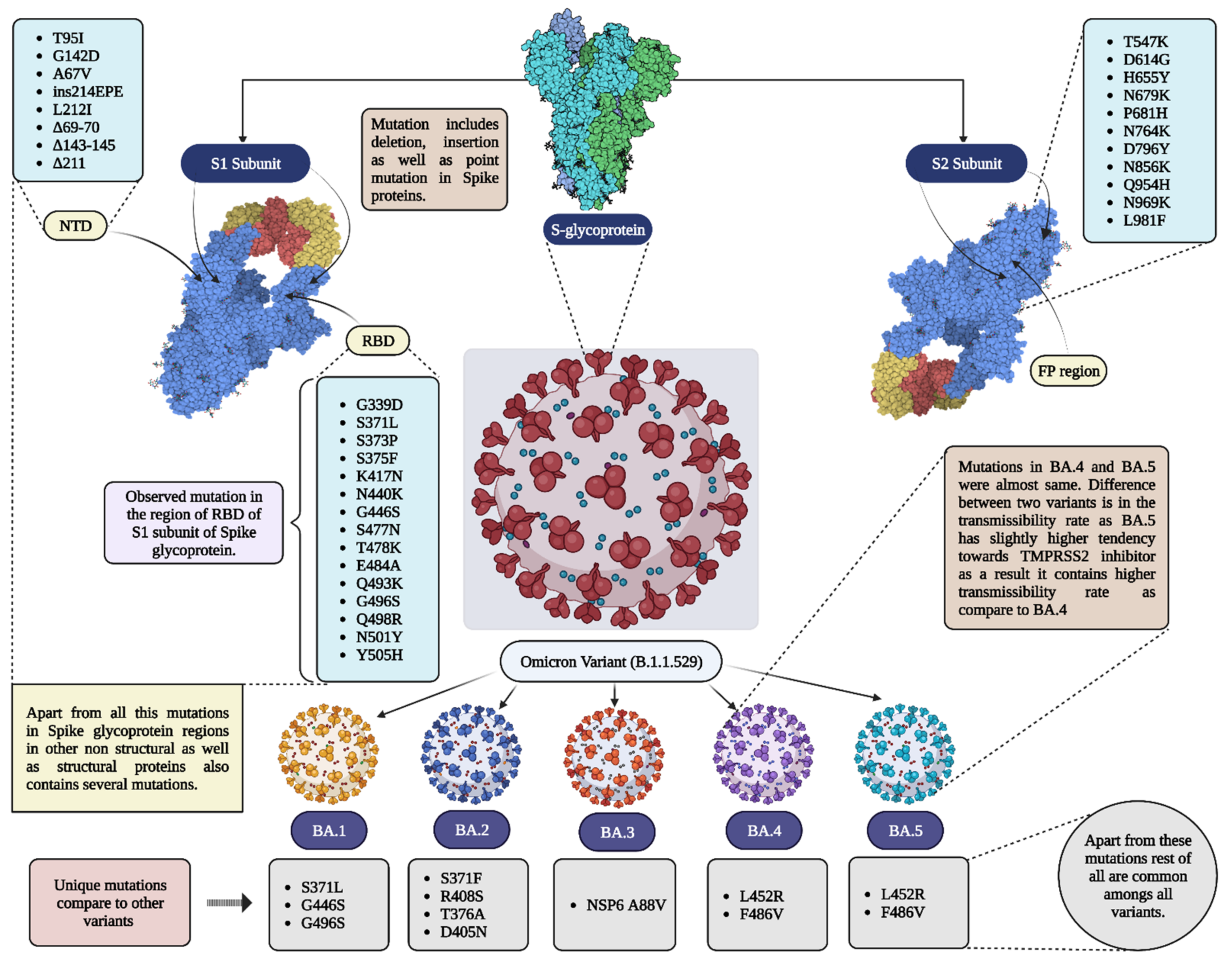 Vaccines 11 00160 g002