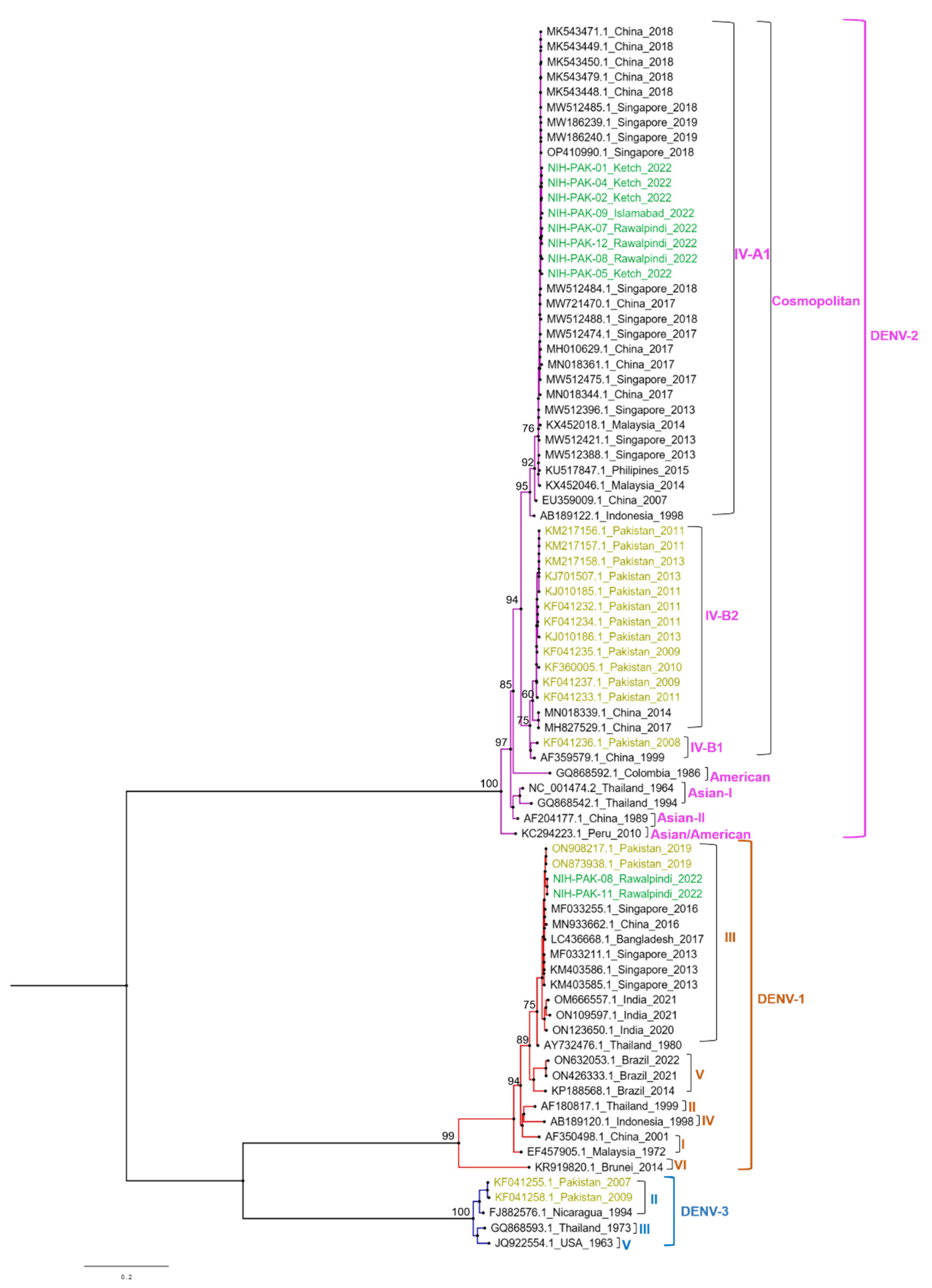 Vaccines 11 00163 g003 Vaccines 11 00163 g003