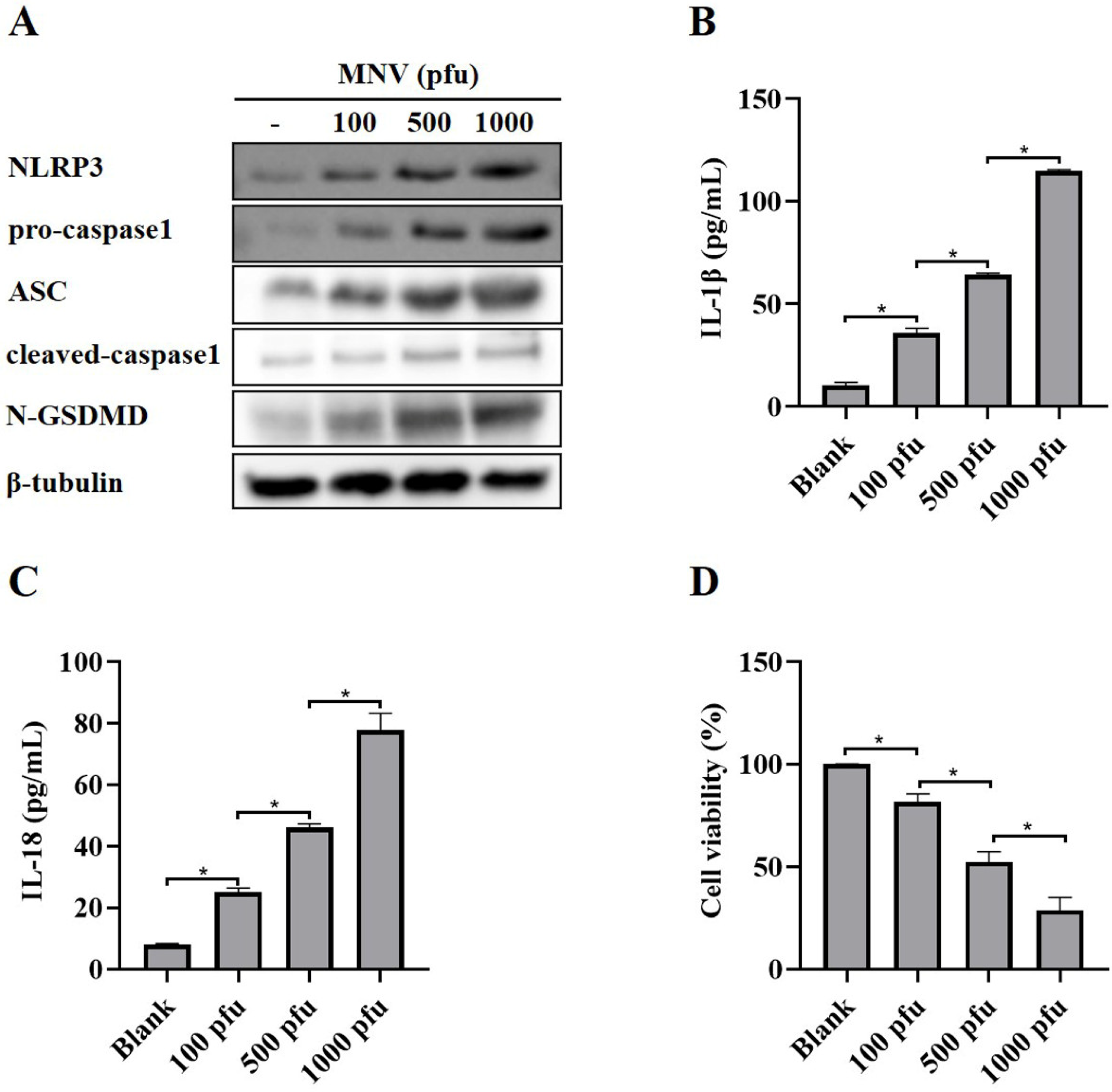 Vaccines 11 00164 g001 Vaccines 11 00164 g001