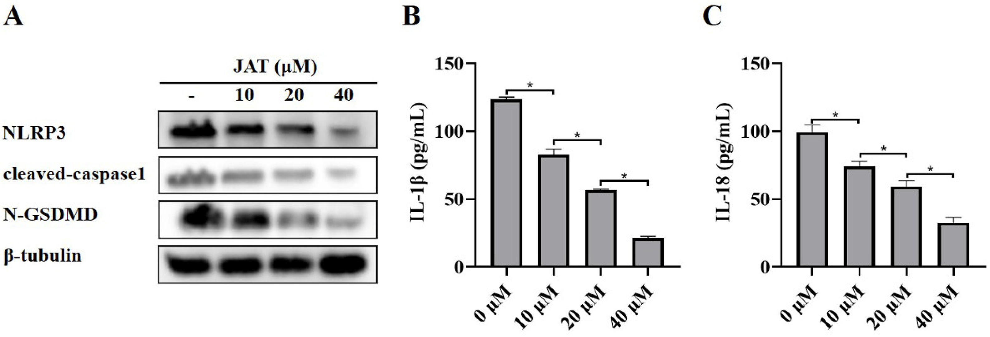 Vaccines 11 00164 g003 Vaccines 11 00164 g003