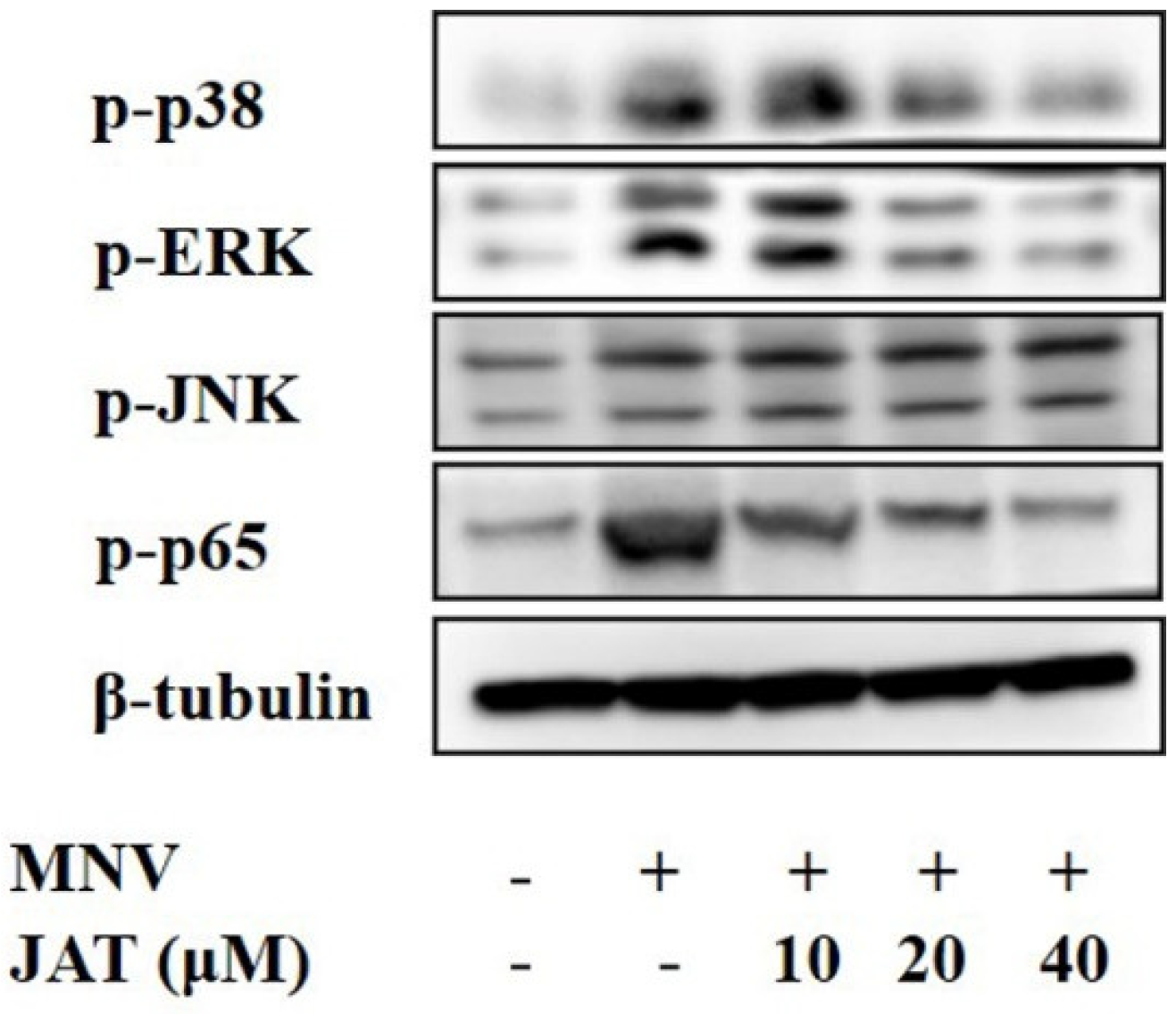 Vaccines 11 00164 g004 Vaccines 11 00164 g004