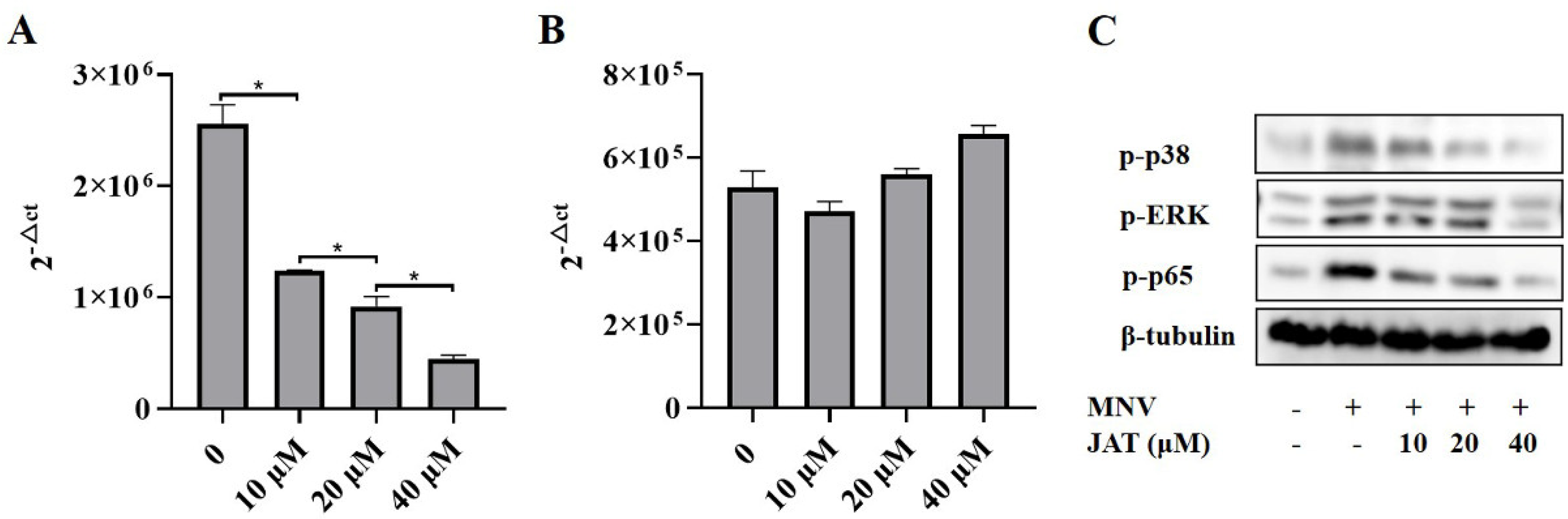 Vaccines 11 00164 g005 Vaccines 11 00164 g005