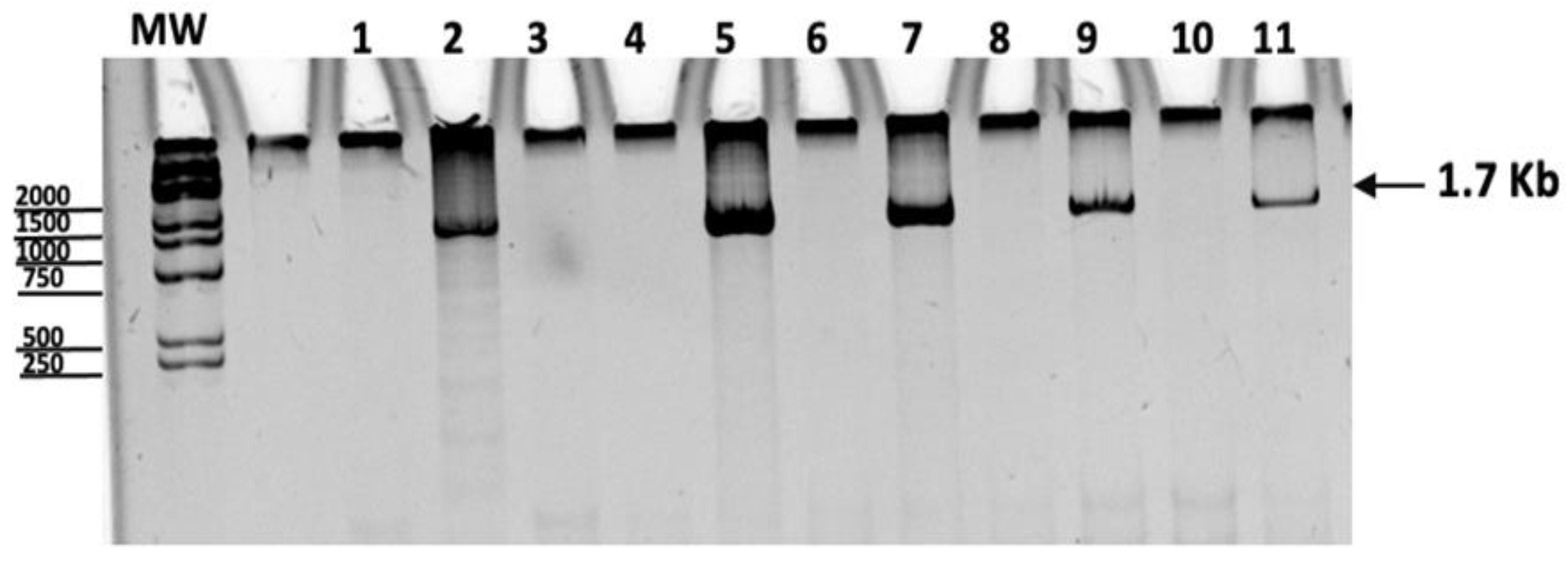 Vaccines 11 00173 g001
