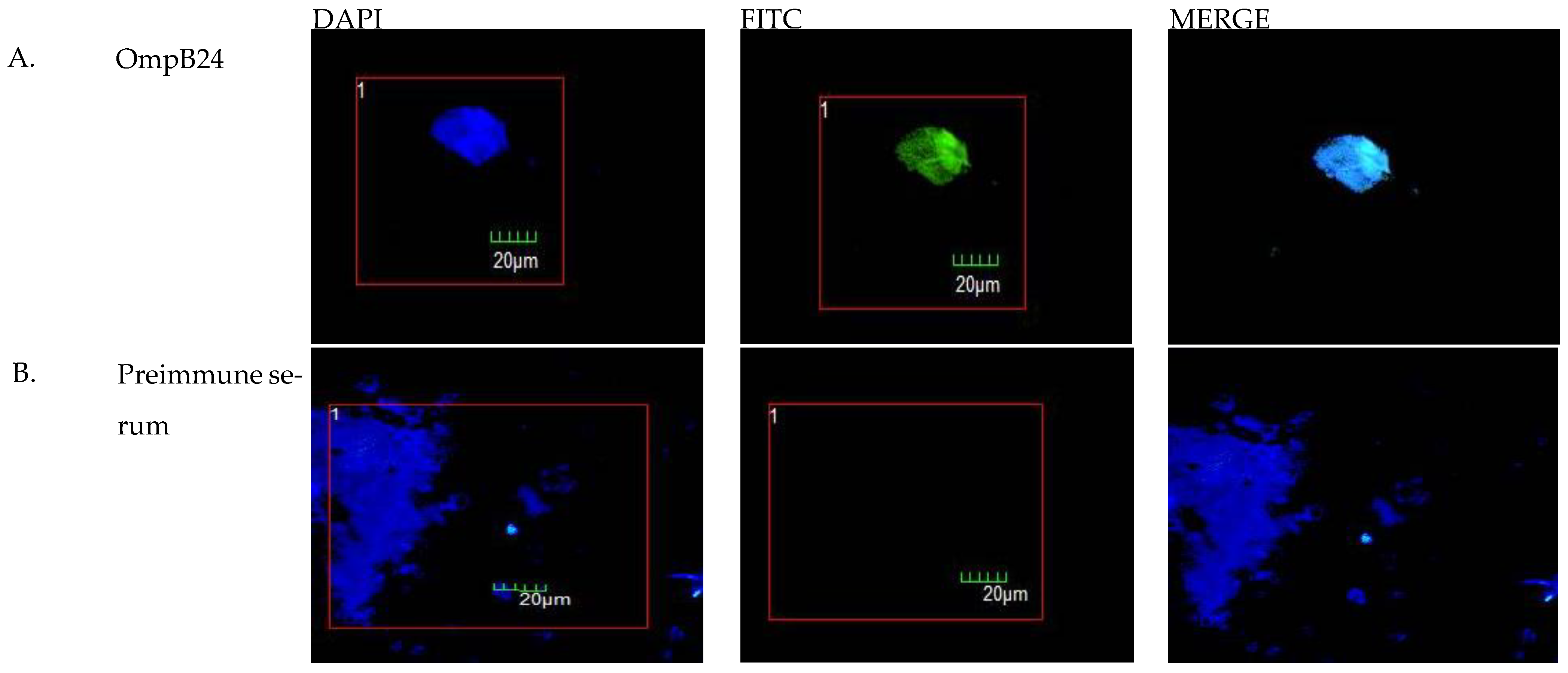 Vaccines 11 00173 g002