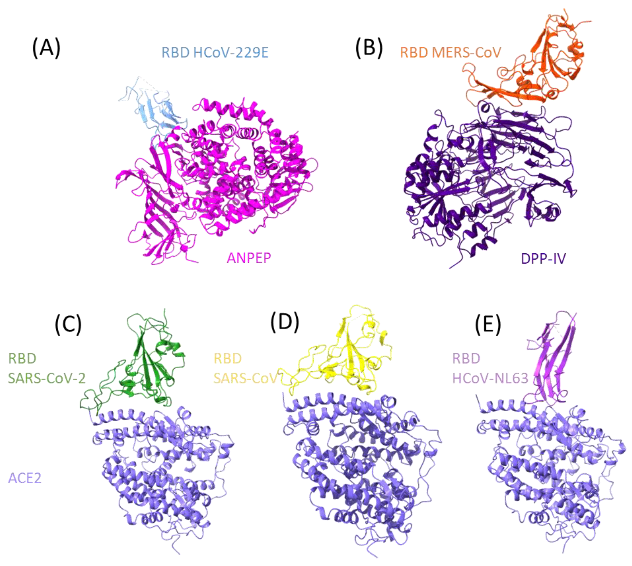 Vaccines 11 00174 g001