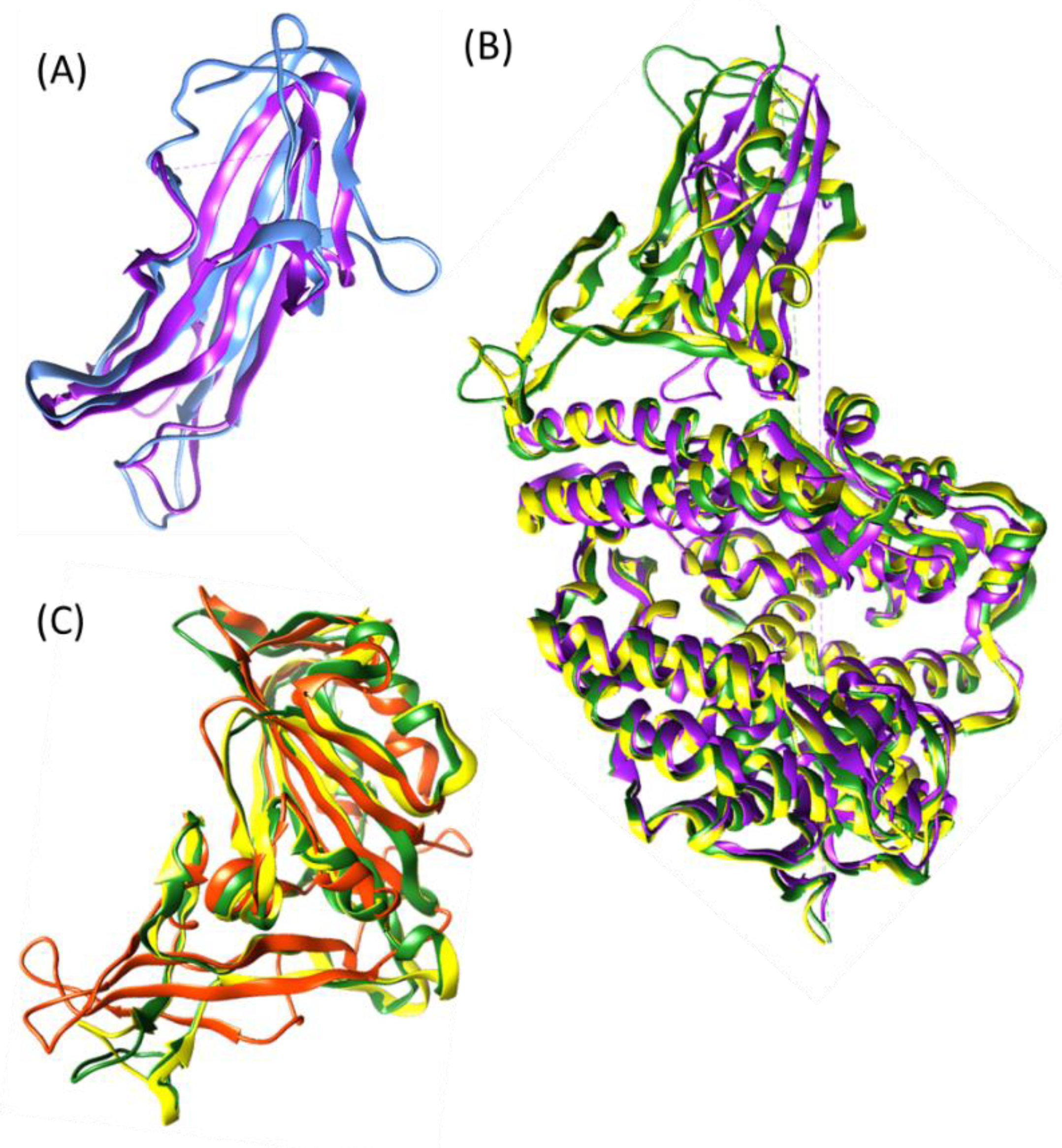 Vaccines 11 00174 g002