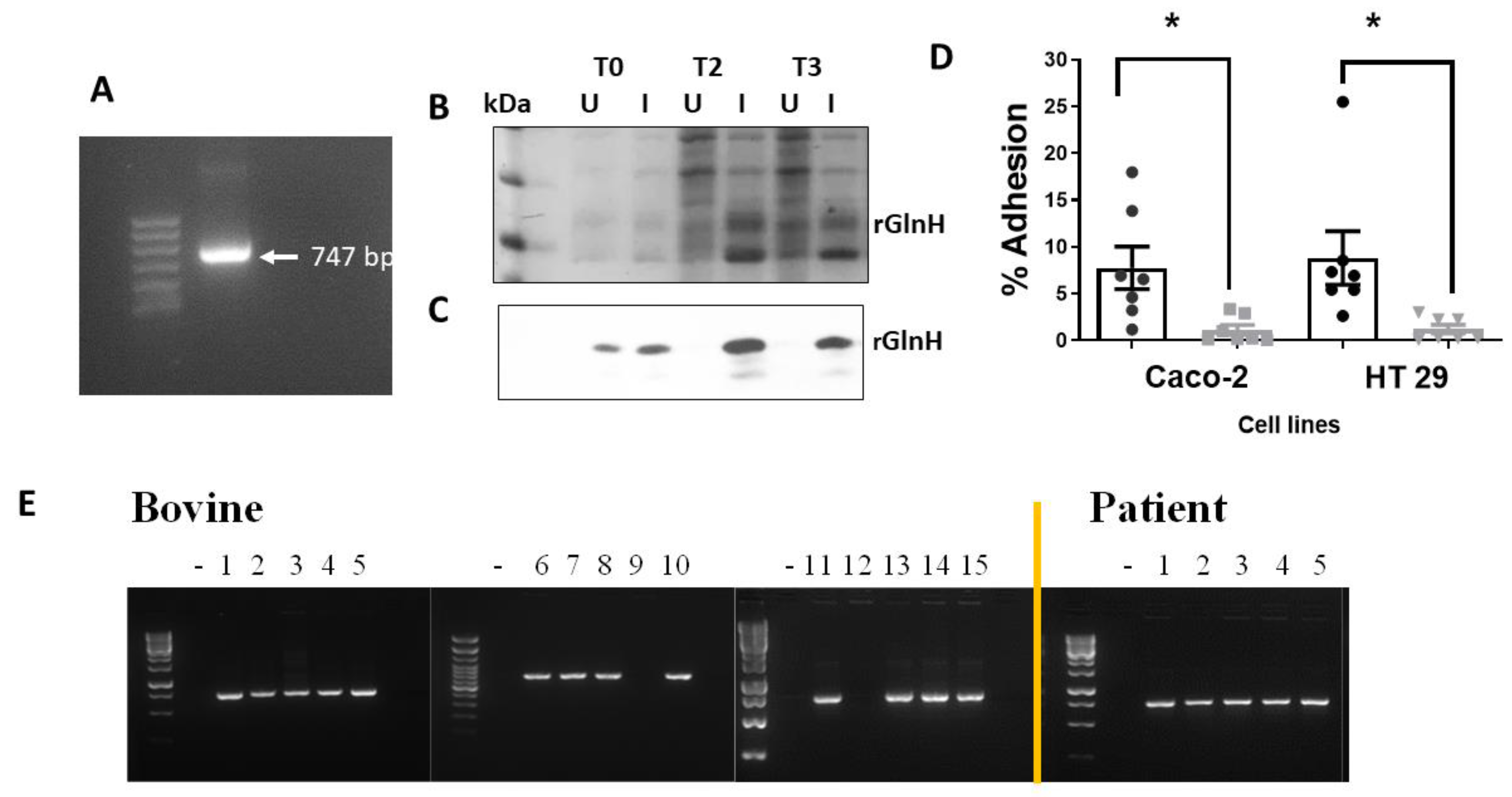 Vaccines 11 00175 g002 Vaccines 11 00175 g002
