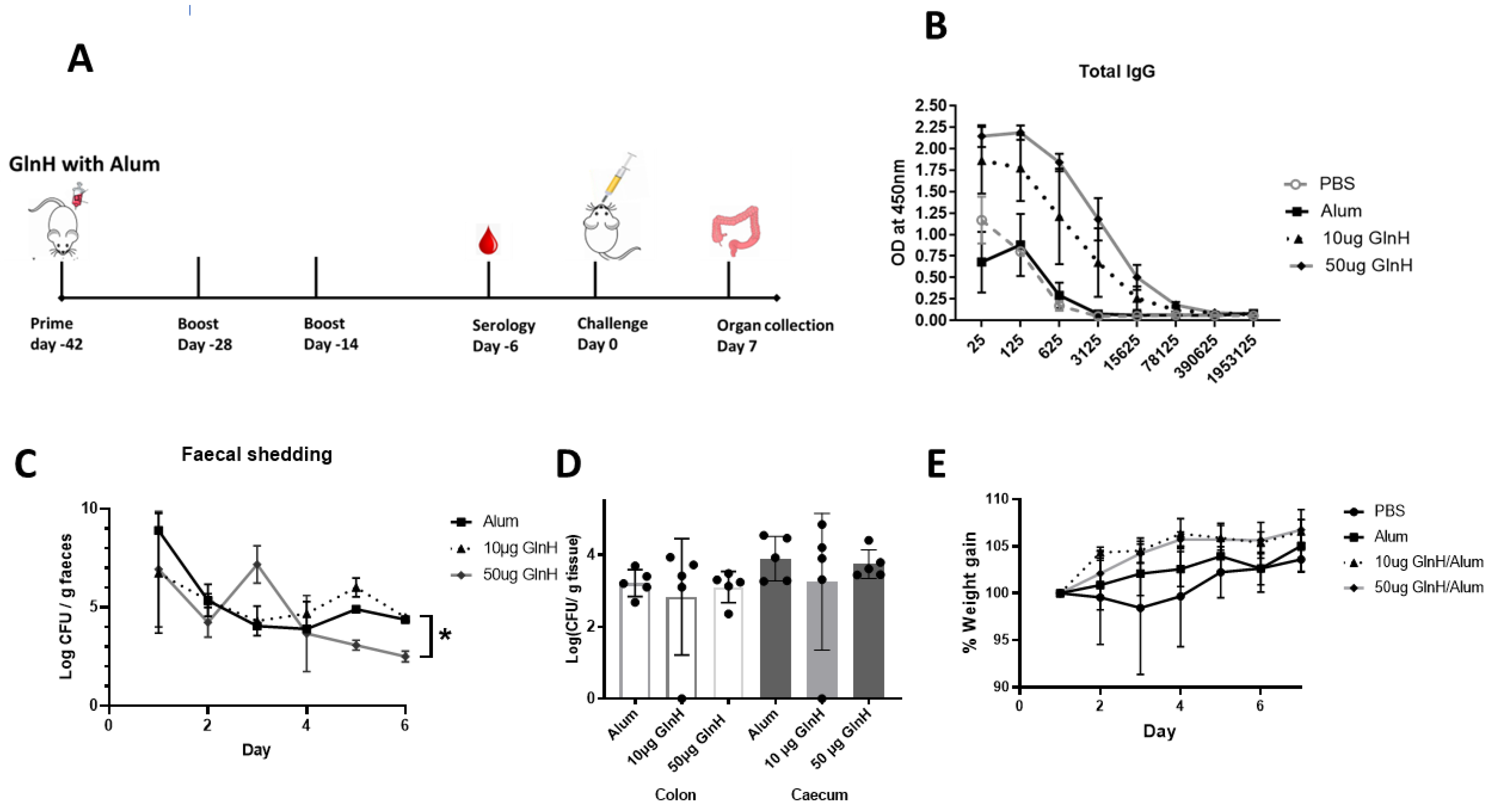 Vaccines 11 00175 g004 Vaccines 11 00175 g004
