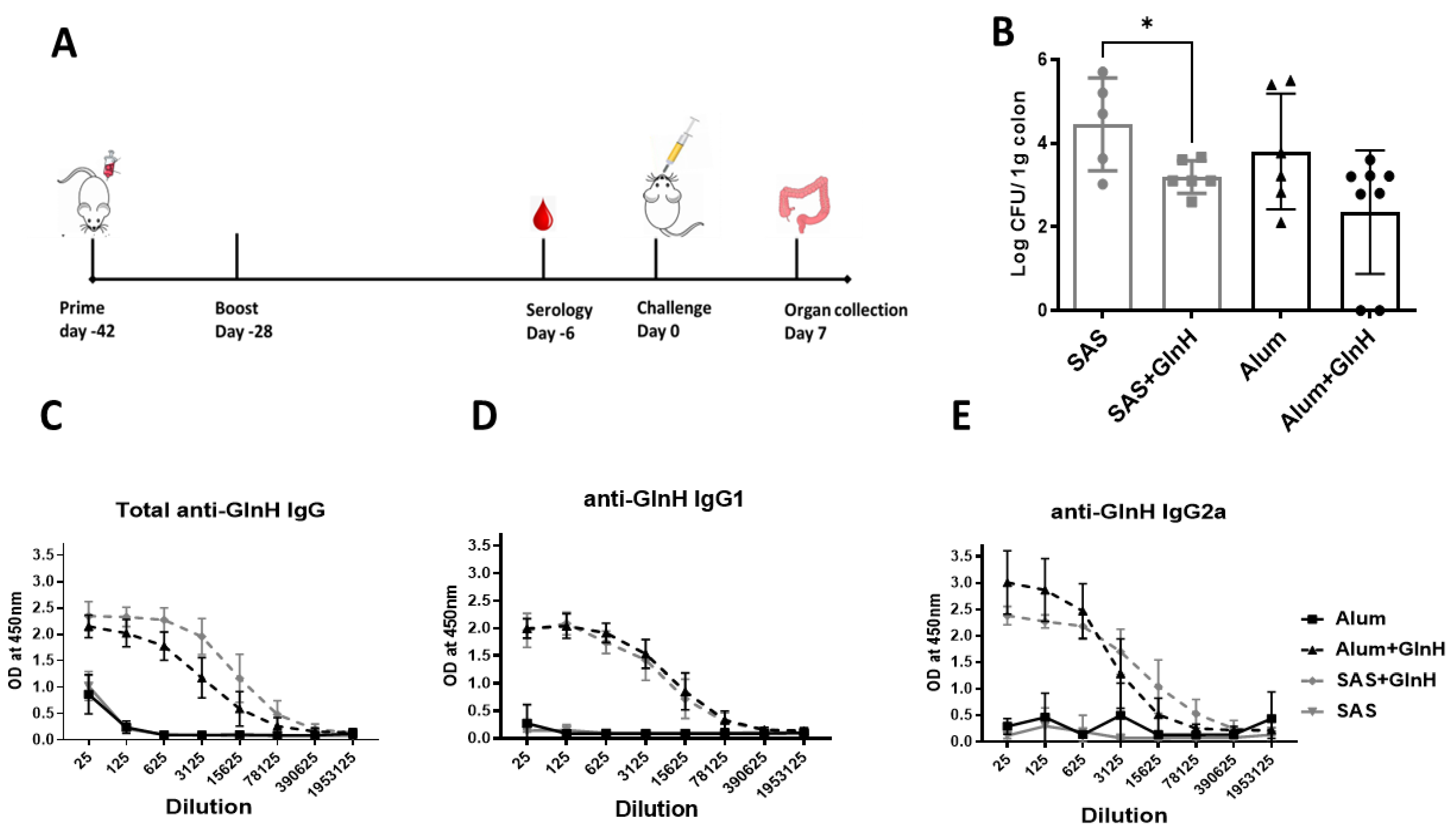 Vaccines 11 00175 g005 Vaccines 11 00175 g005