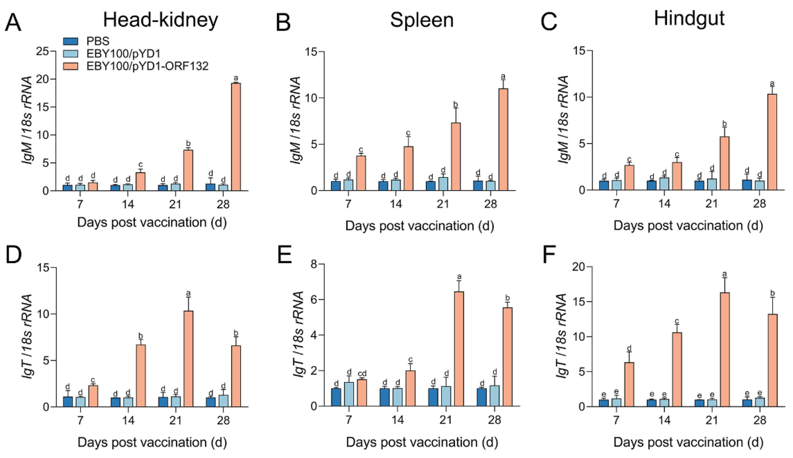 Vaccines 11 00186 g003 Vaccines 11 00186 g003