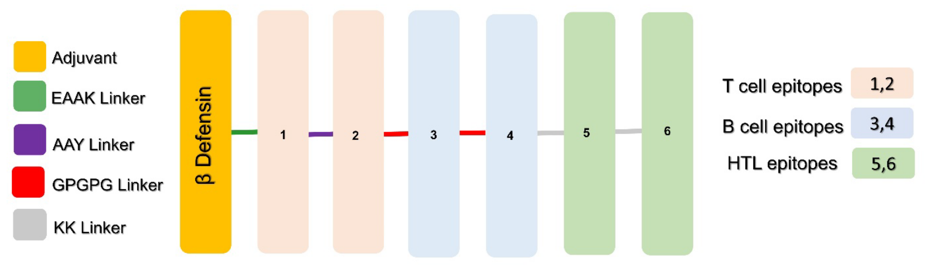 Vaccines 11 00203 g002 Vaccines 11 00203 g002