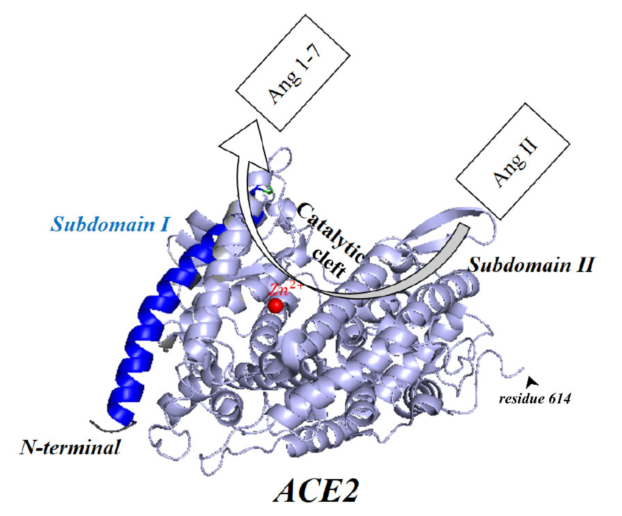 Vaccines 11 00204 g004 Vaccines 11 00204 g004