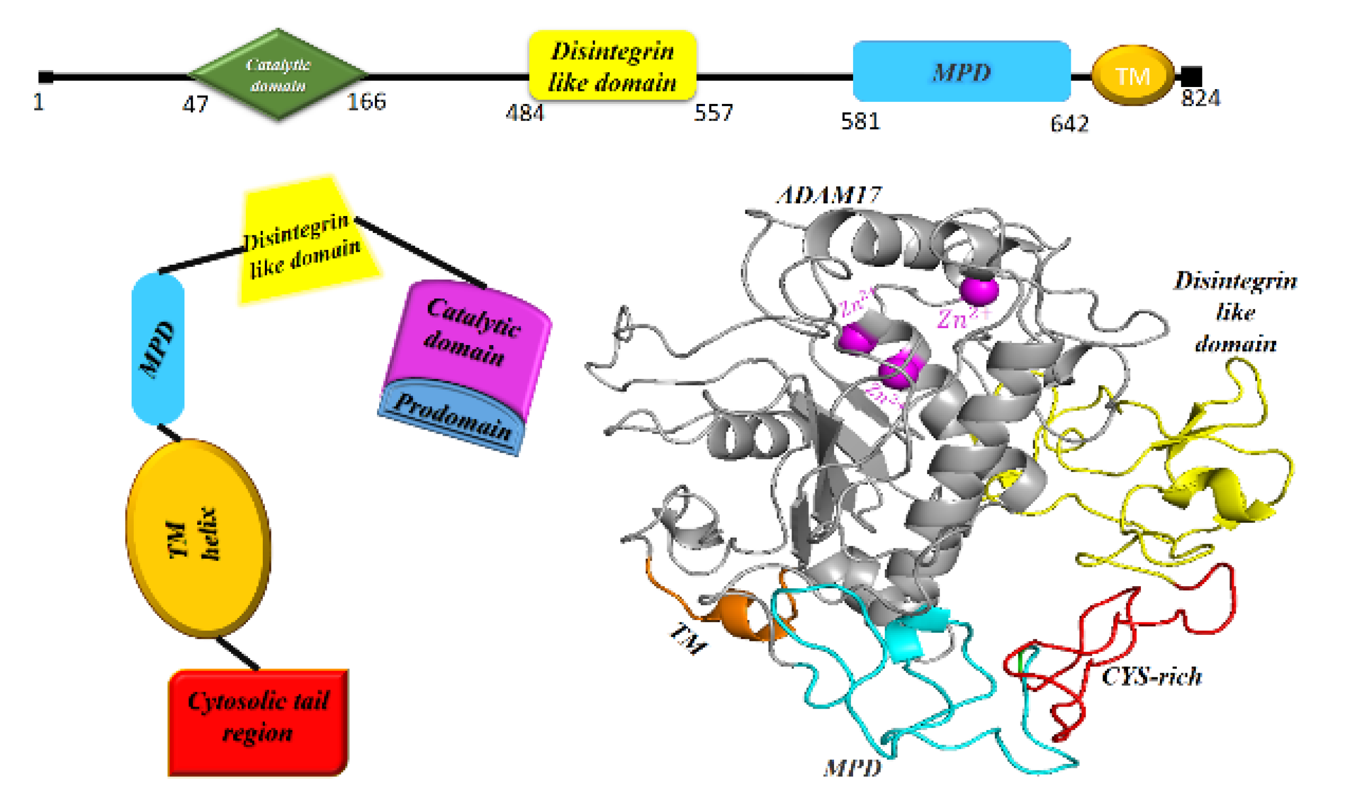 Vaccines 11 00204 g005 Vaccines 11 00204 g005