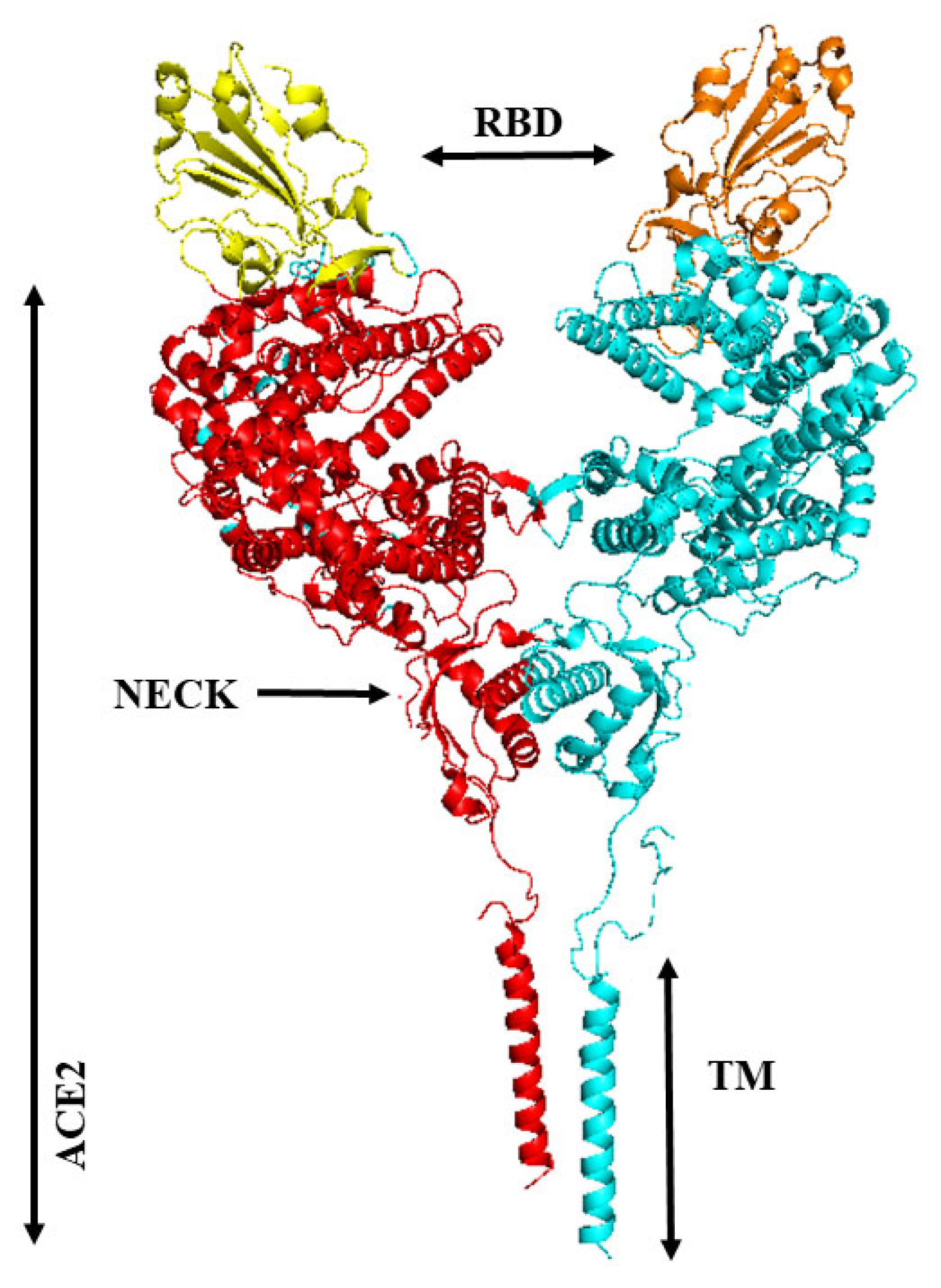 Vaccines 11 00204 g007 Vaccines 11 00204 g007