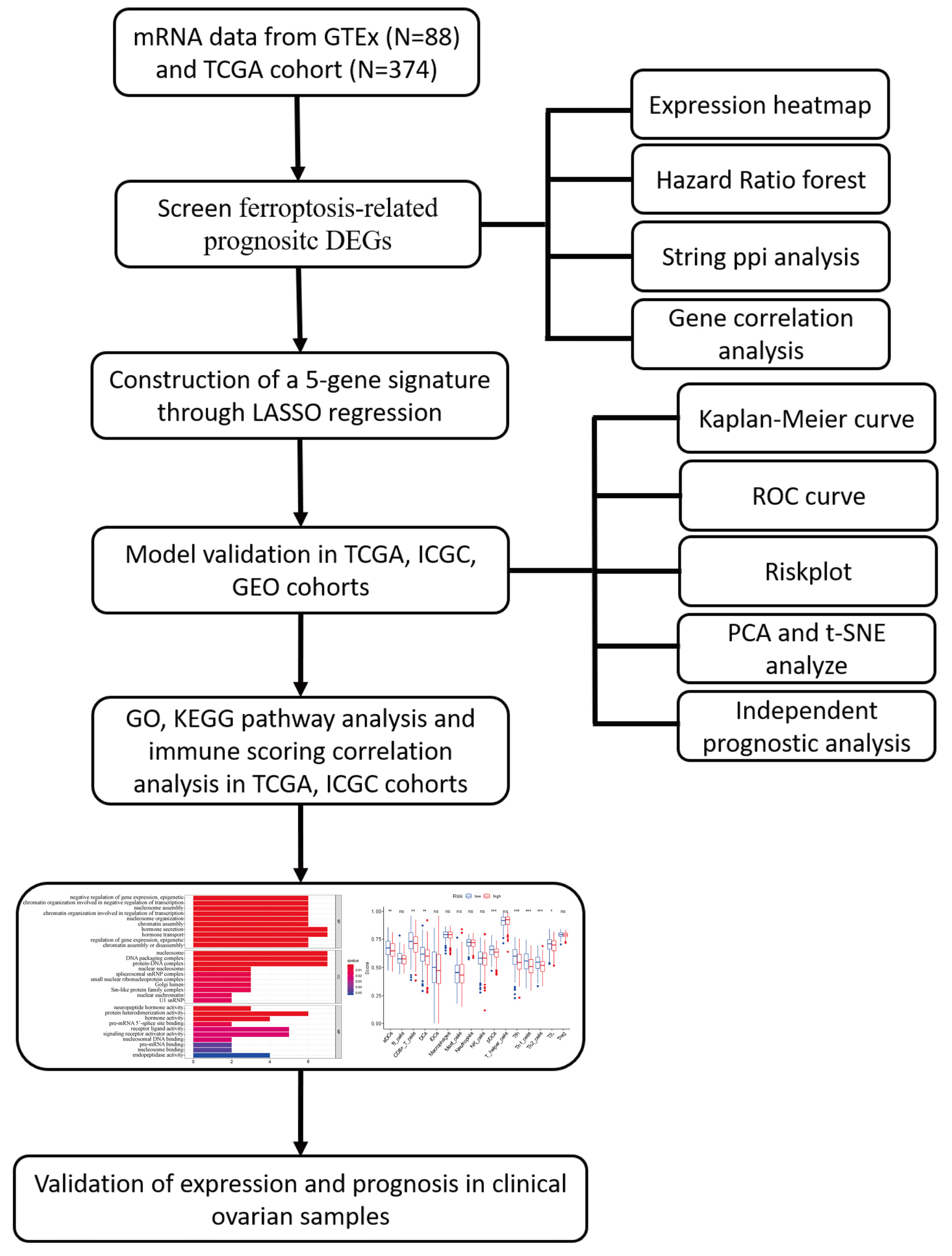 Vaccines 11 00205 g001 Vaccines 11 00205 g001