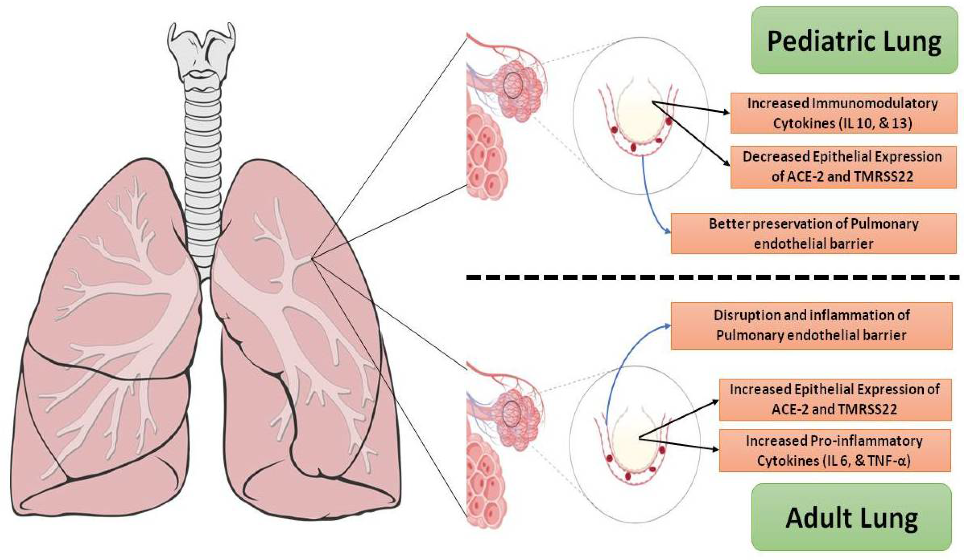 Vaccines 11 00214 g002