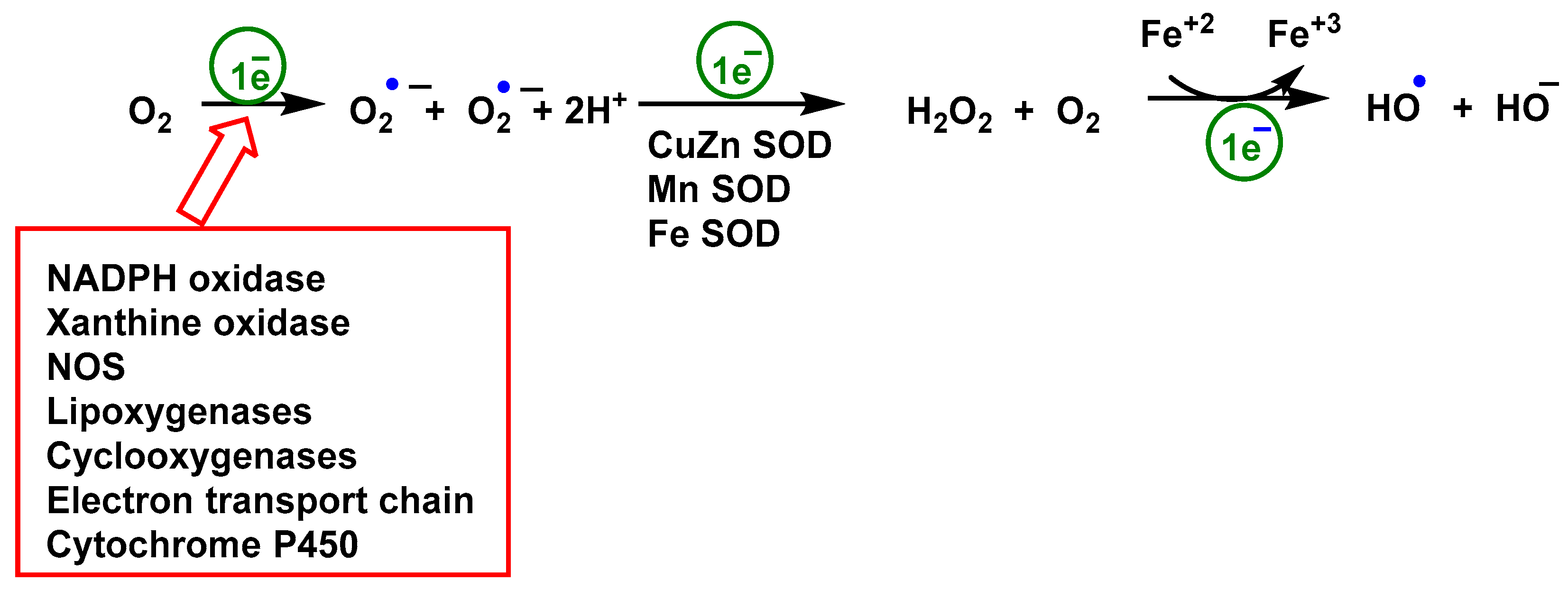 Vaccines 11 00218 g003
