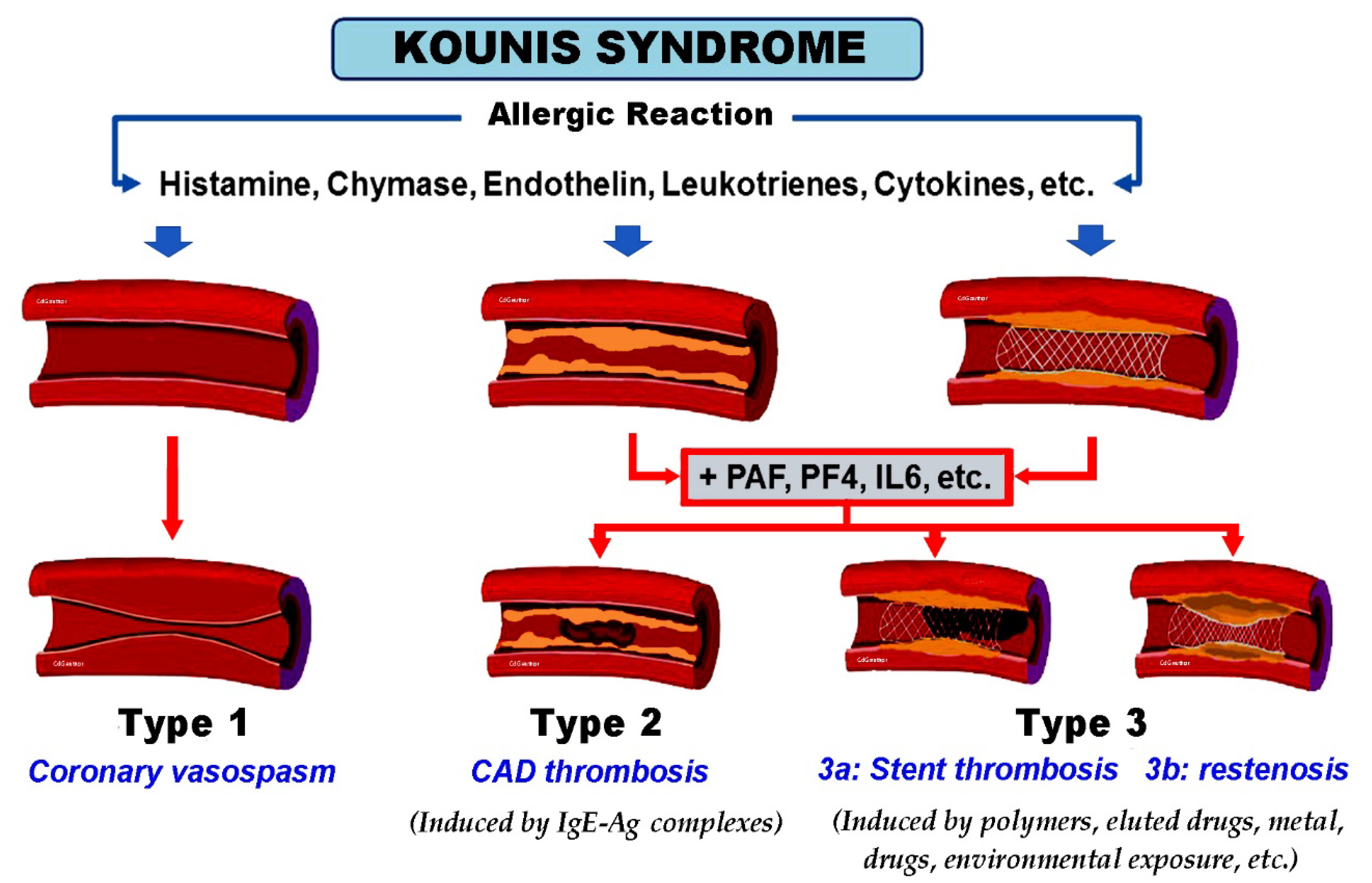 Vaccines 11 00220 g001
