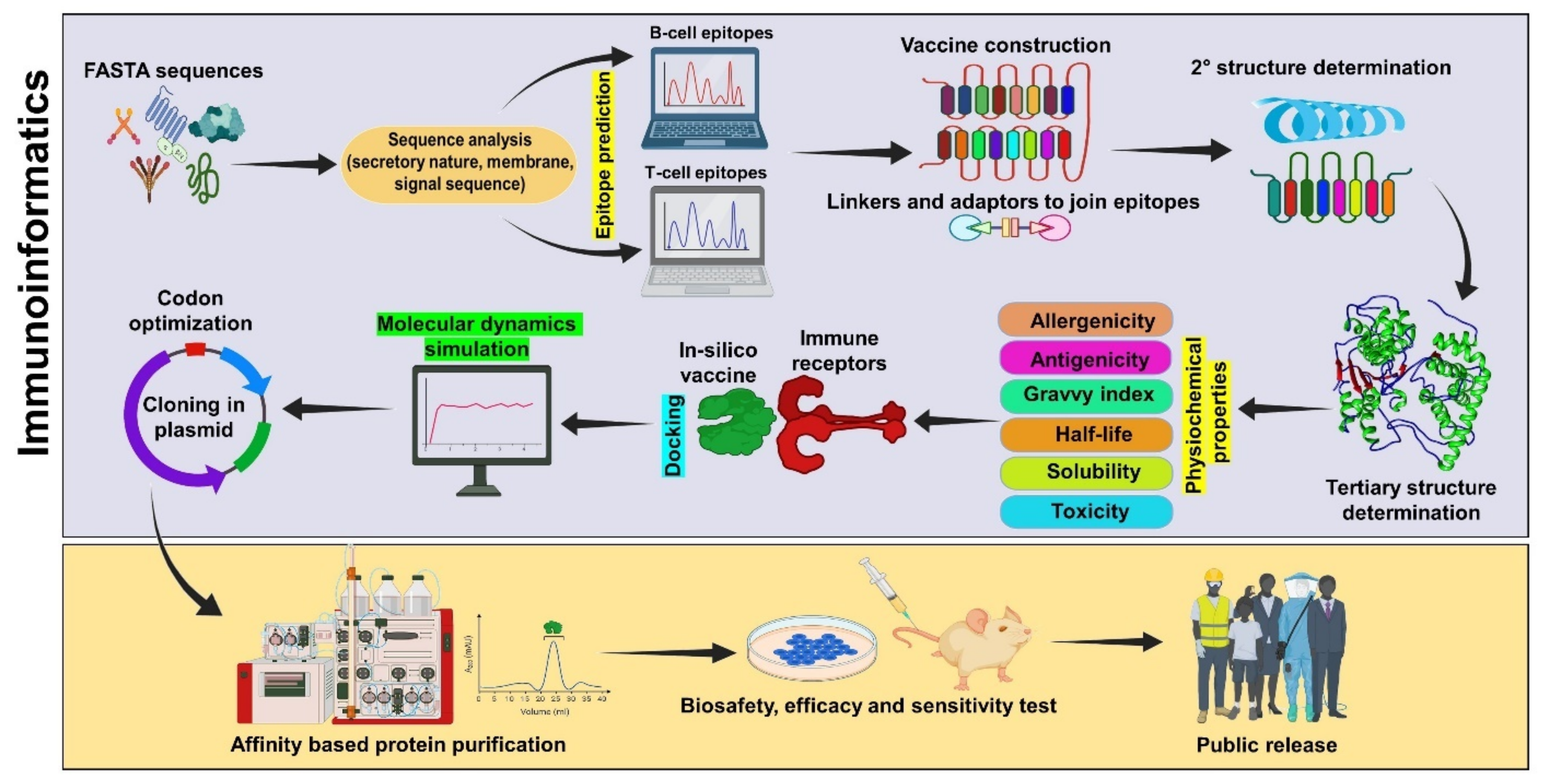 Vaccines 11 00221 g001