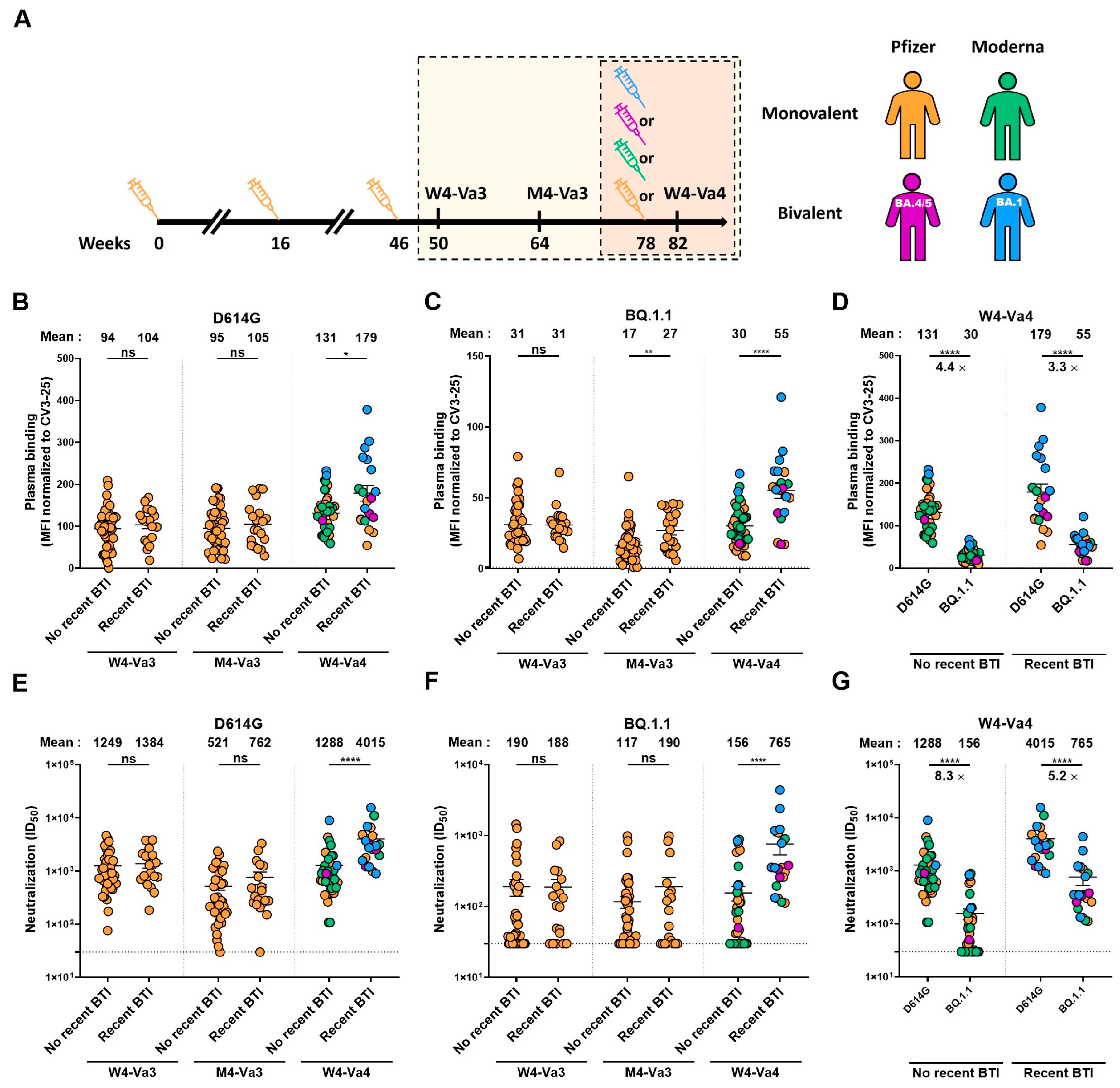 Vaccines 11 00242 g001 550