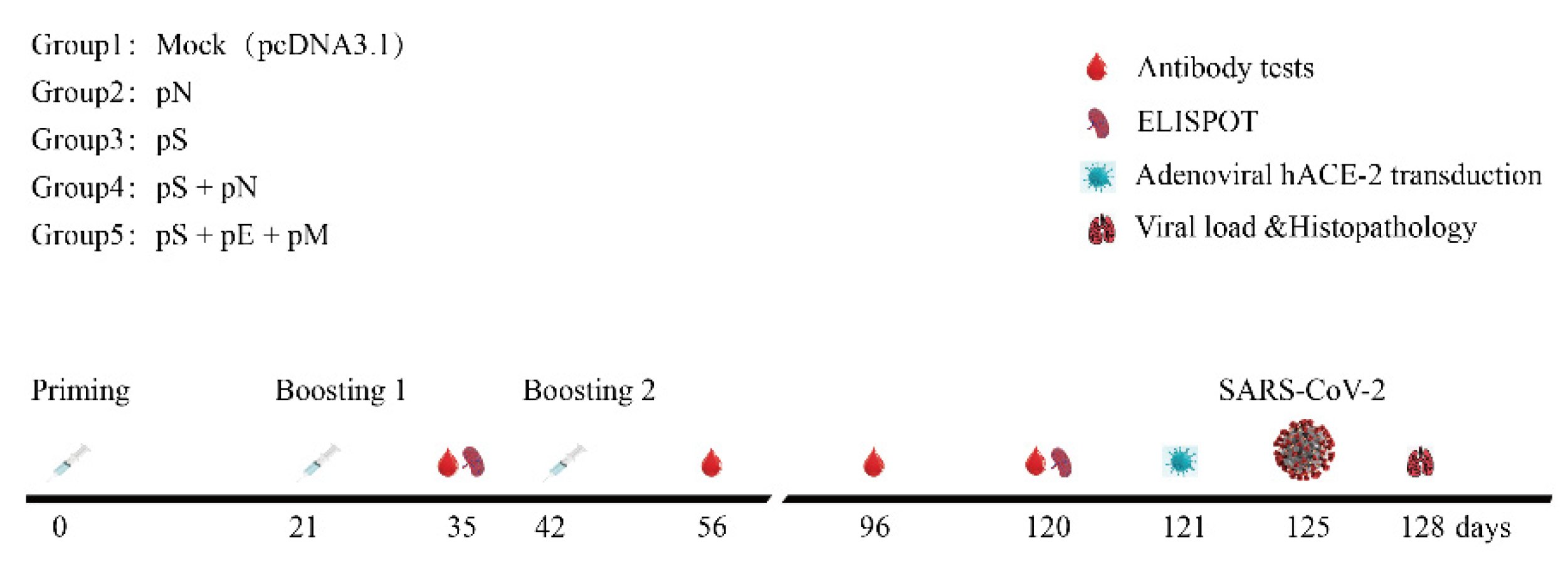 Vaccines 11 00243 g002 Vaccines 11 00243 g002