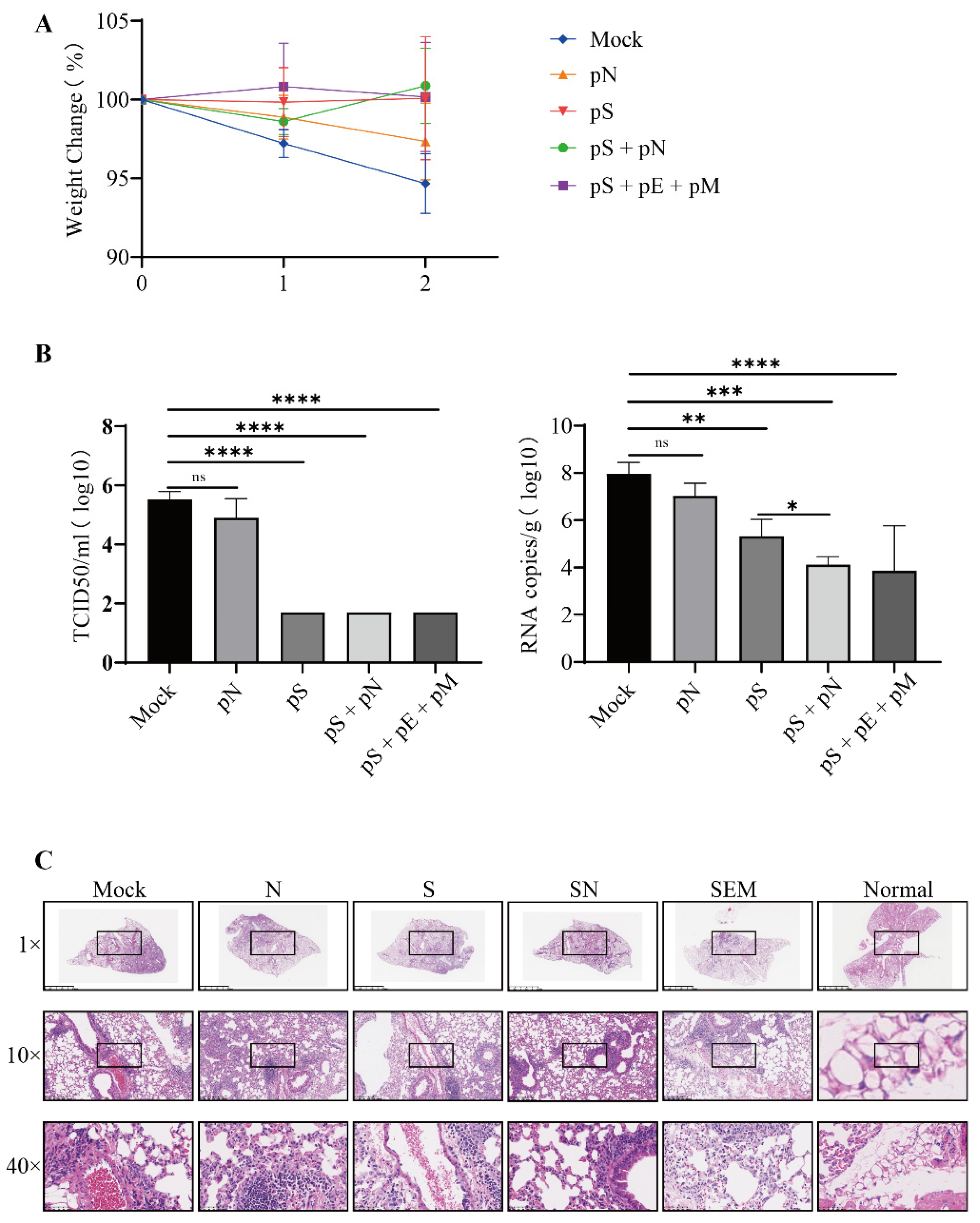 Vaccines 11 00243 g005 Vaccines 11 00243 g005