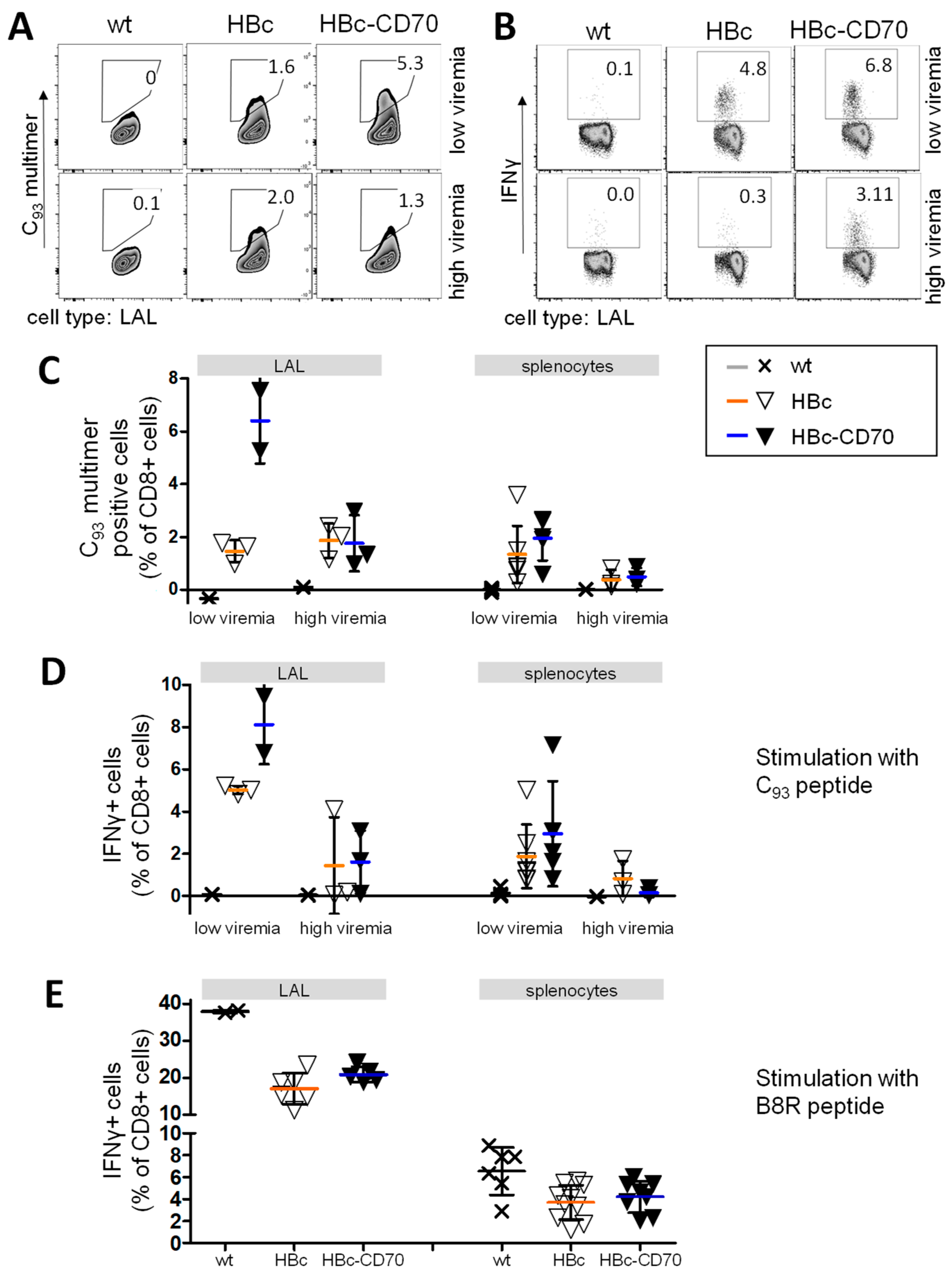 Vaccines 11 00245 g004 Vaccines 11 00245 g004