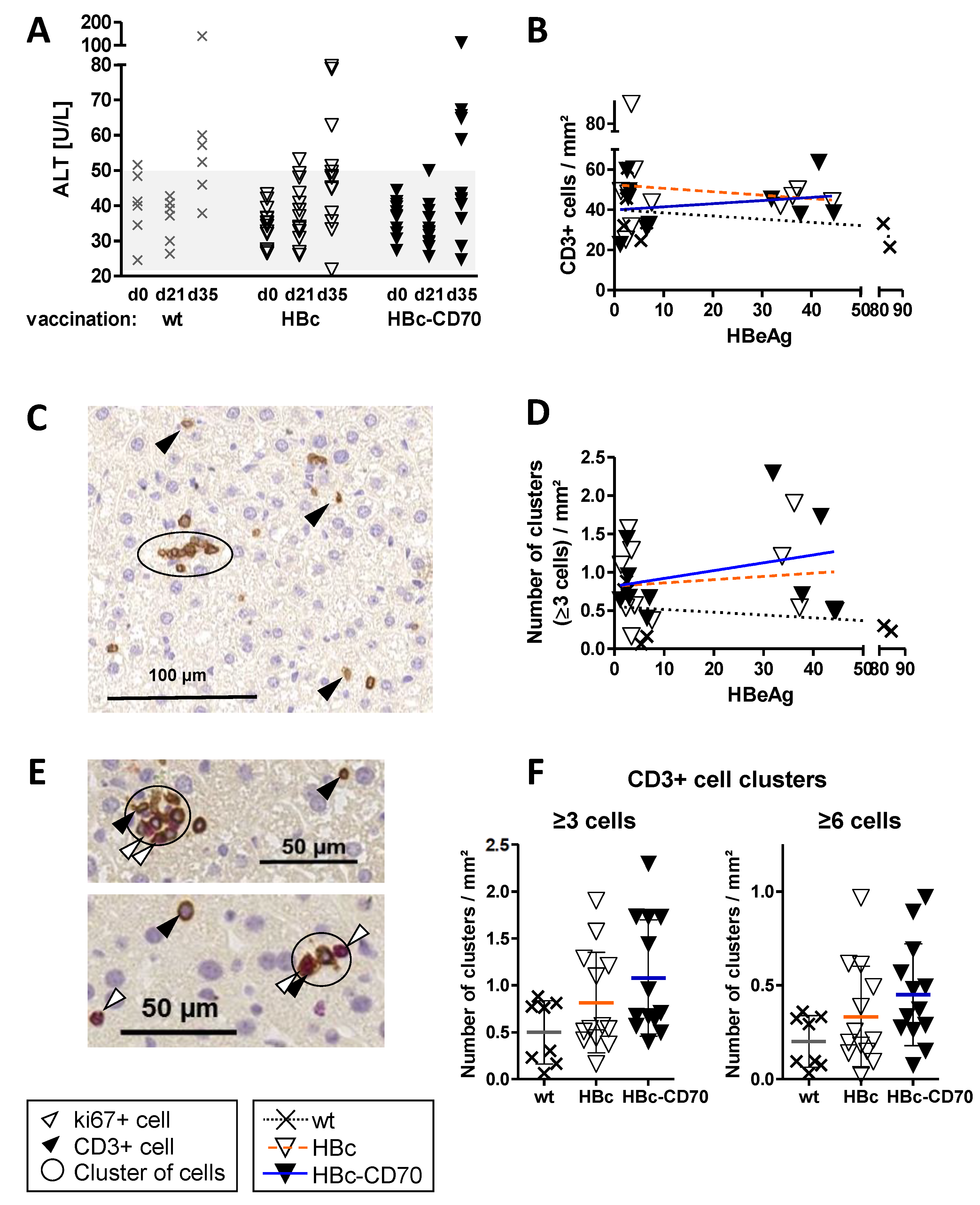 Vaccines 11 00245 g005 Vaccines 11 00245 g005
