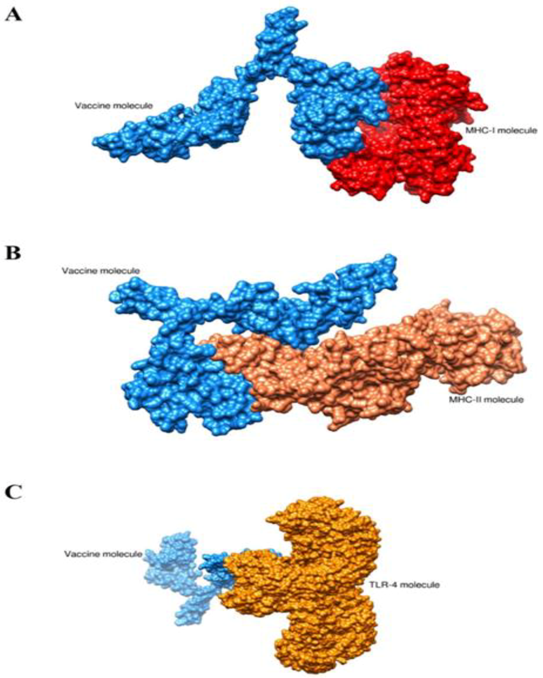 Vaccines 11 00263 g008