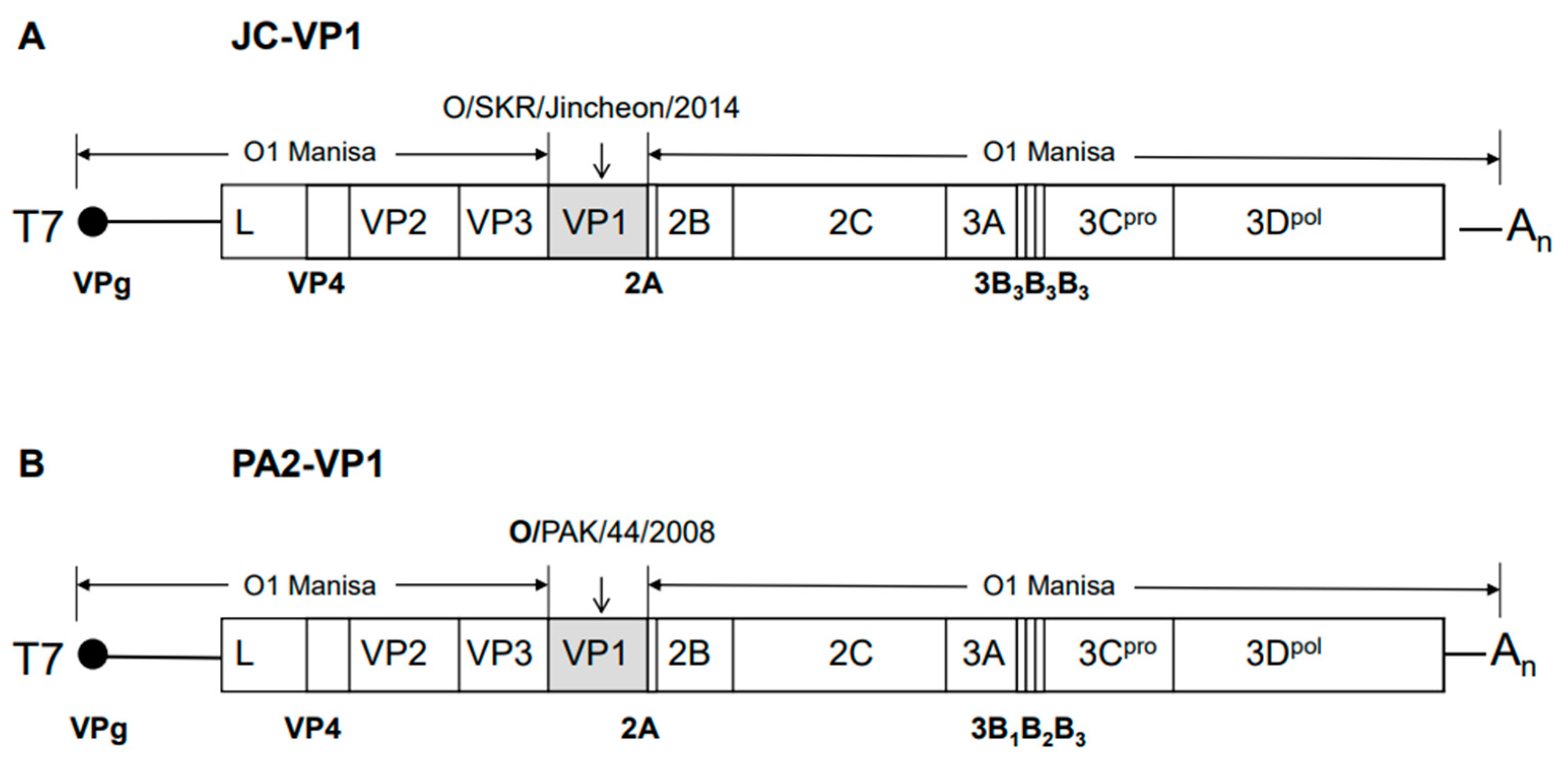 Vaccines 11 00271 g001 Vaccines 11 00271 g001