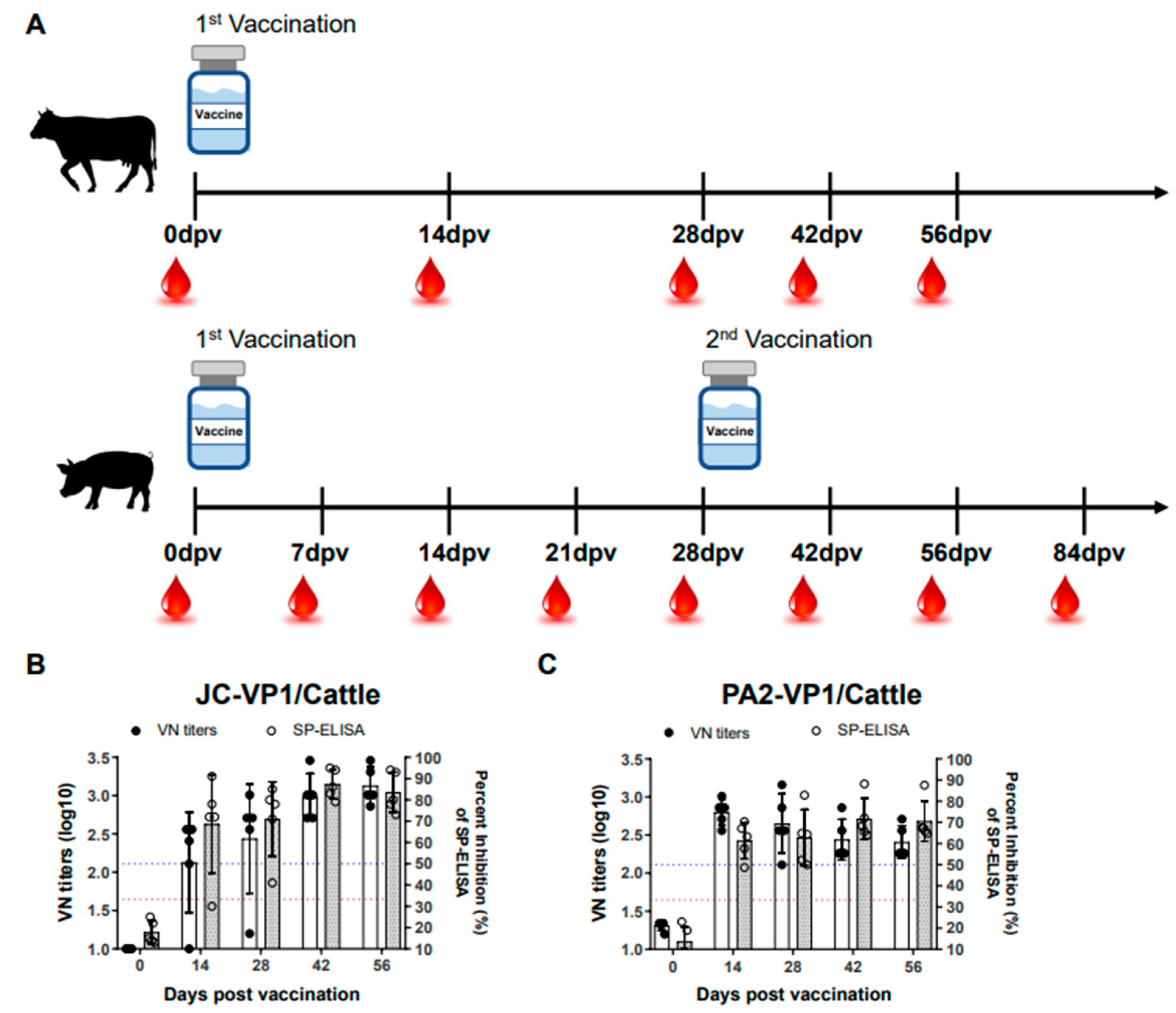 Vaccines 11 00271 g002a Vaccines 11 00271 g002a