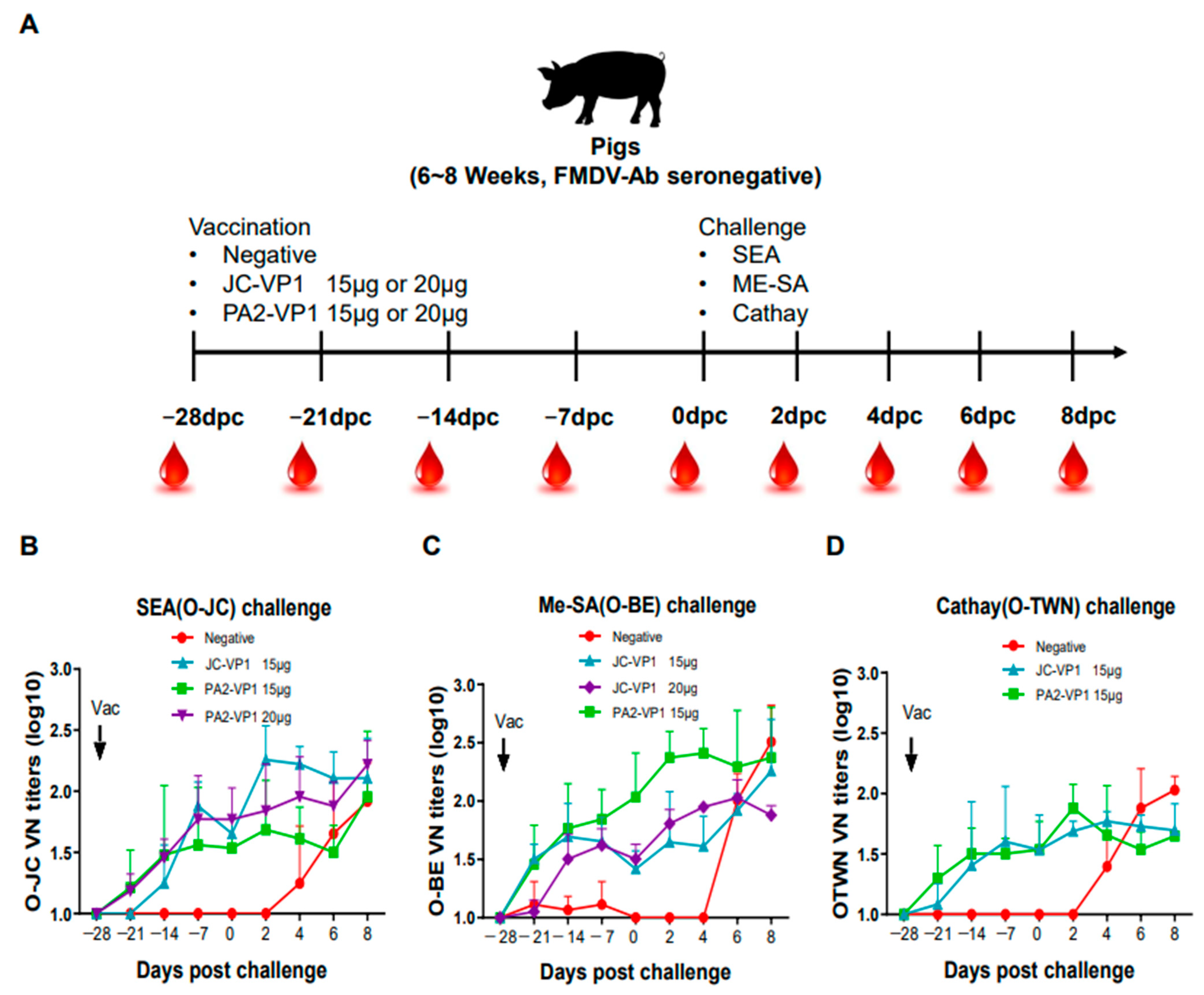 Vaccines 11 00271 g003 Vaccines 11 00271 g003