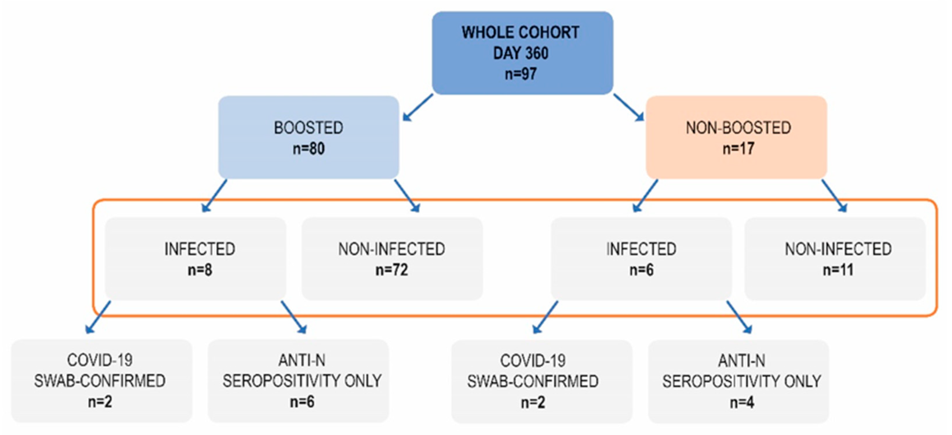Vaccines 11 00278 g003 550