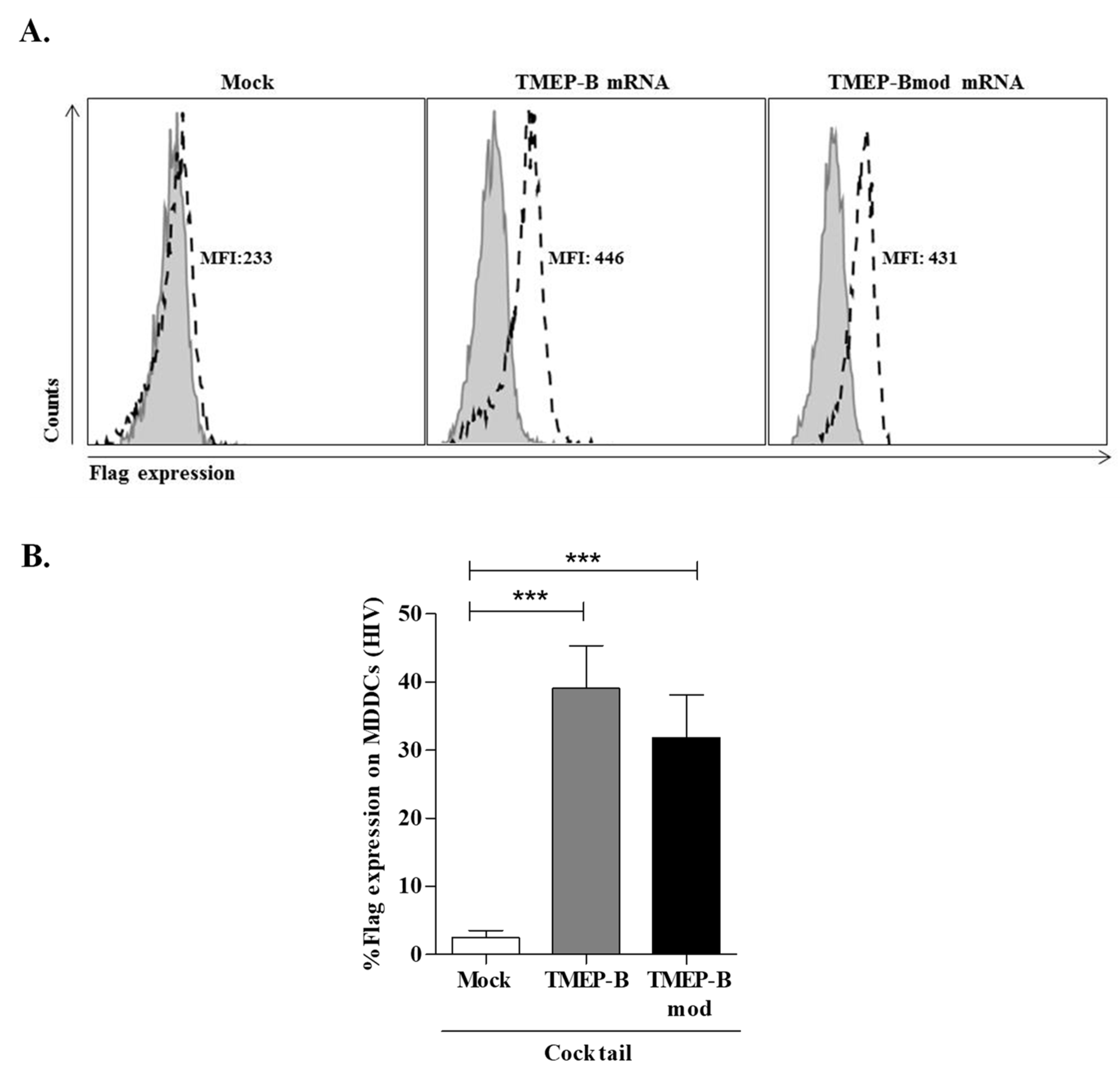 Vaccines 11 00286 g002 Vaccines 11 00286 g002
