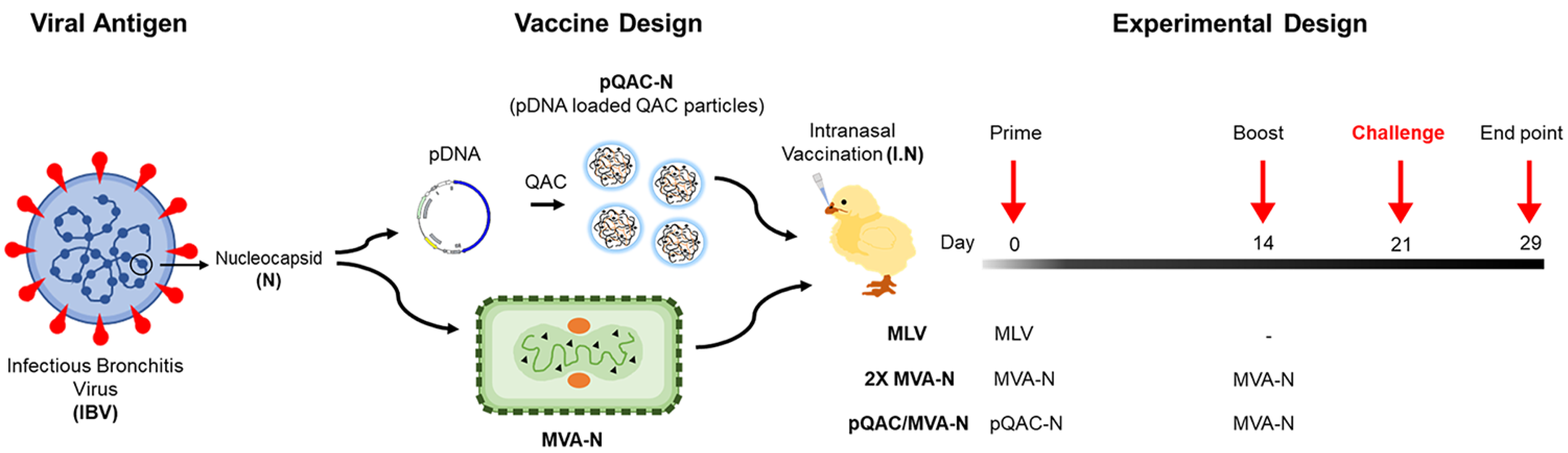 Vaccines 11 00302 g002 Vaccines 11 00302 g002