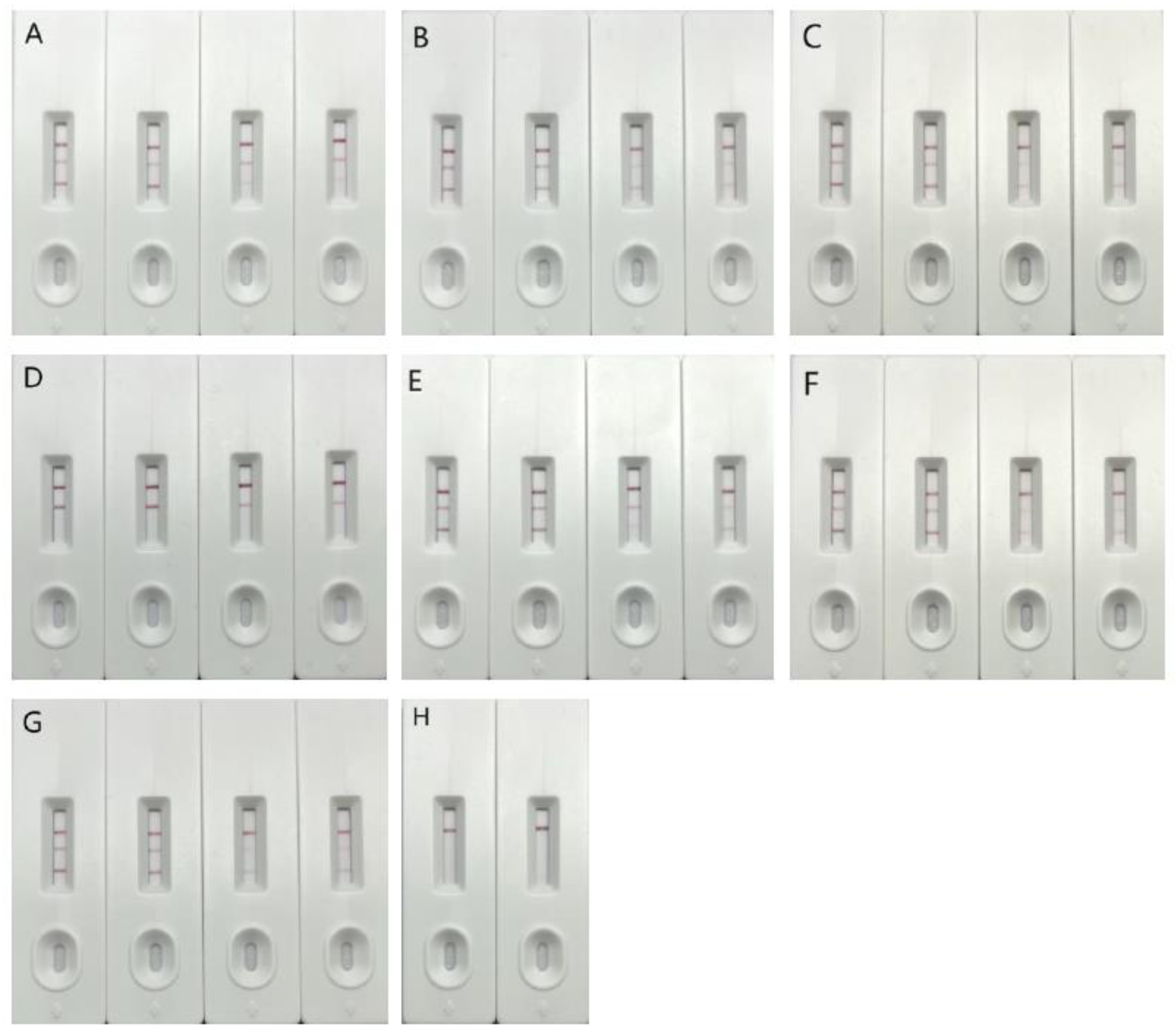 Vaccines 11 00303 g001