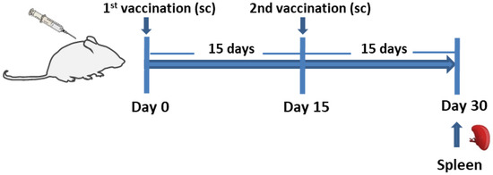 39！ Grazing-incidence scattering—status and perspectives in soft
