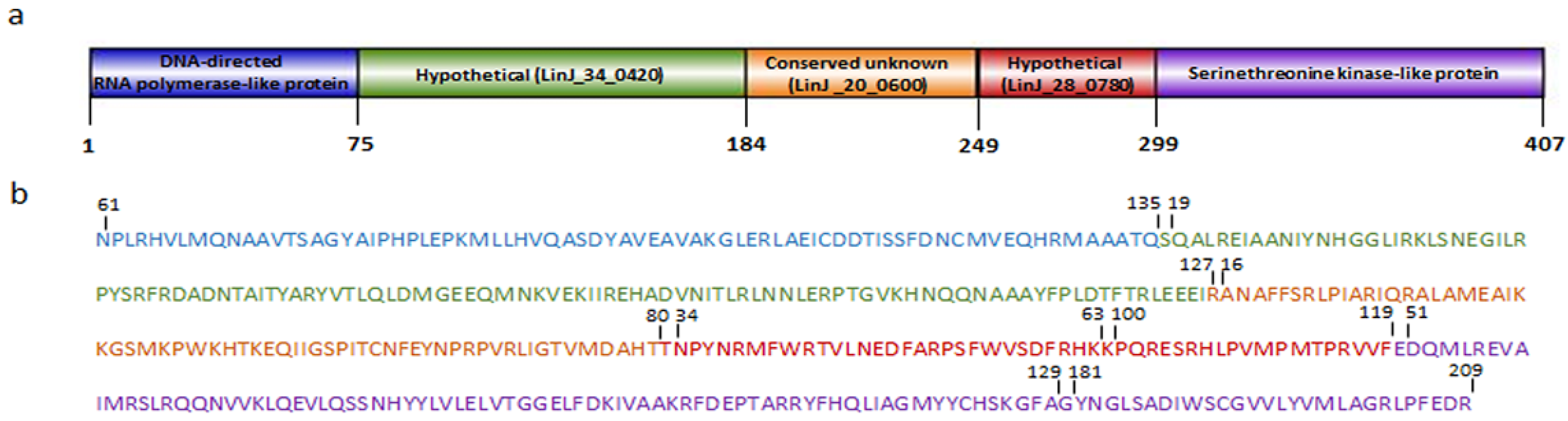 Vaccines 11 00304 g002