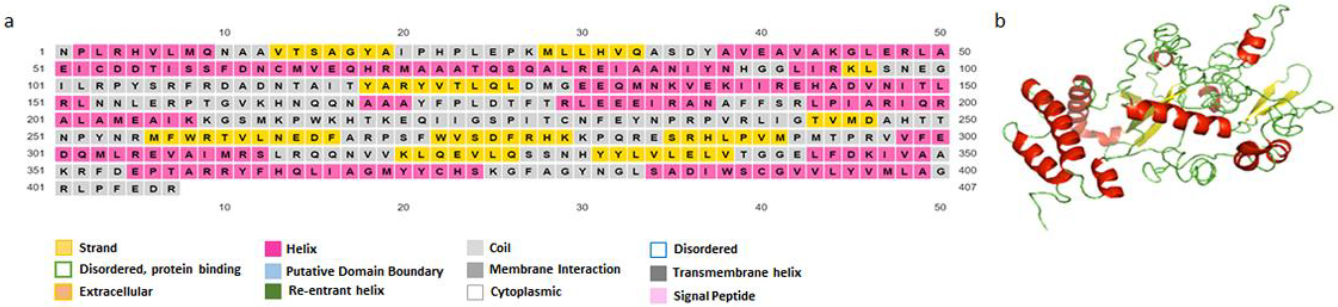 Vaccines 11 00304 g003