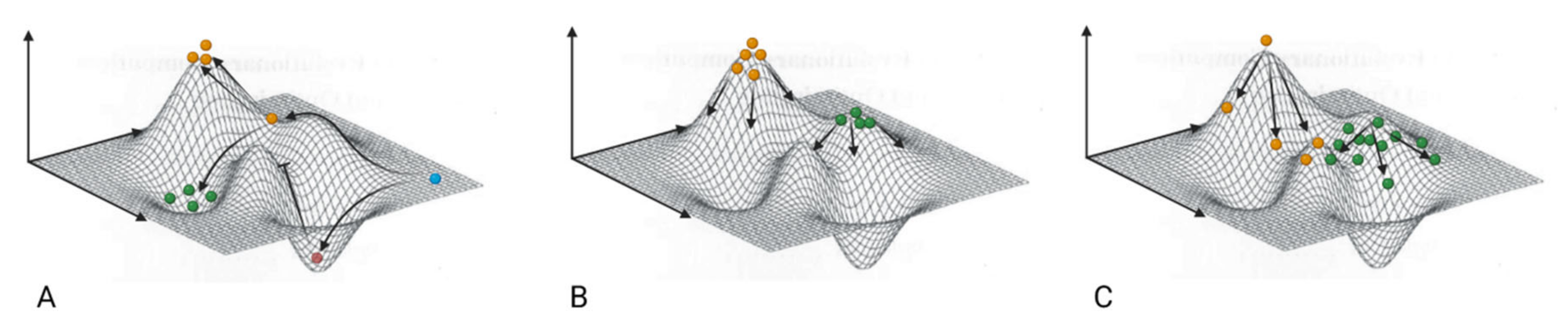 Vaccines 11 00308 g004 Vaccines 11 00308 g004