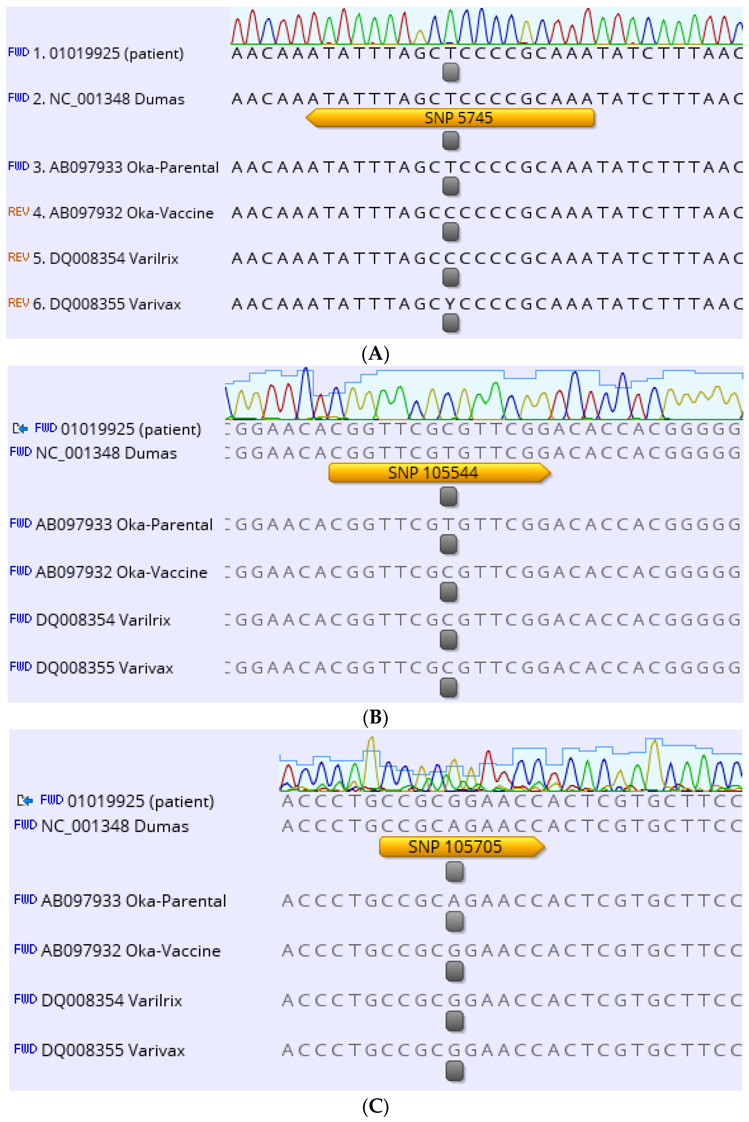 Vaccines 11 00309 g001a