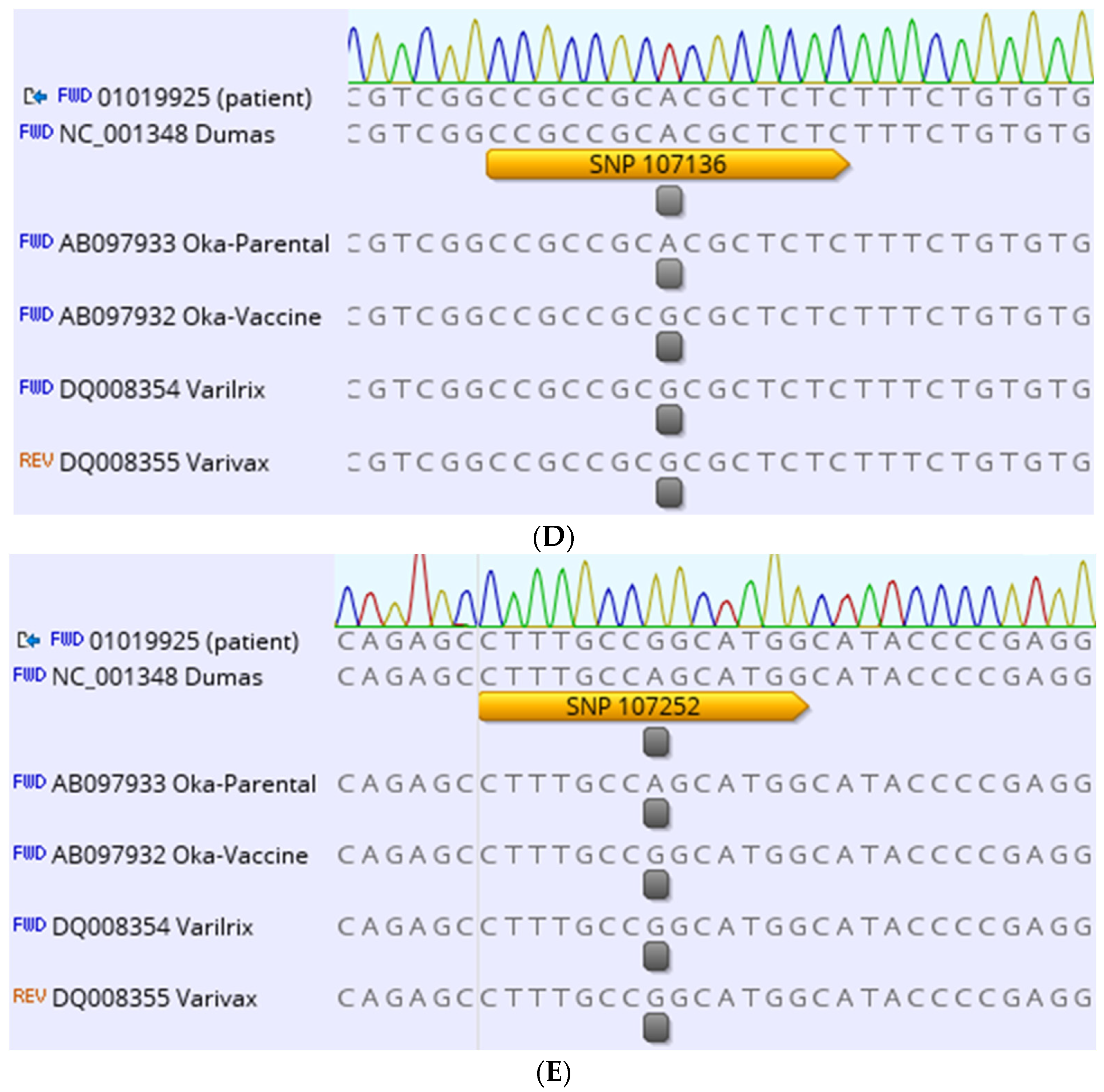 Vaccines 11 00309 g001b