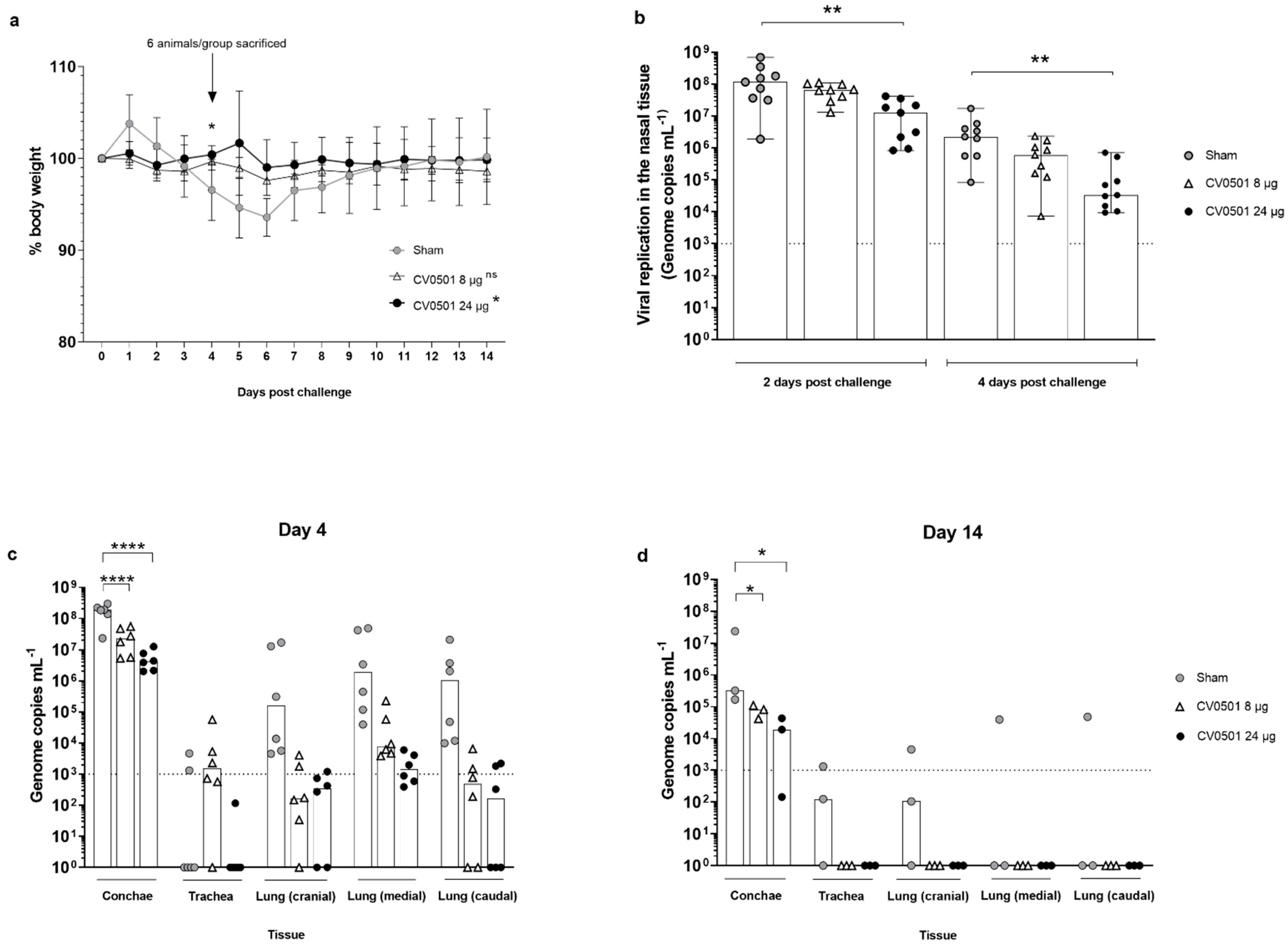 Vaccines 11 00318 g006 Vaccines 11 00318 g006