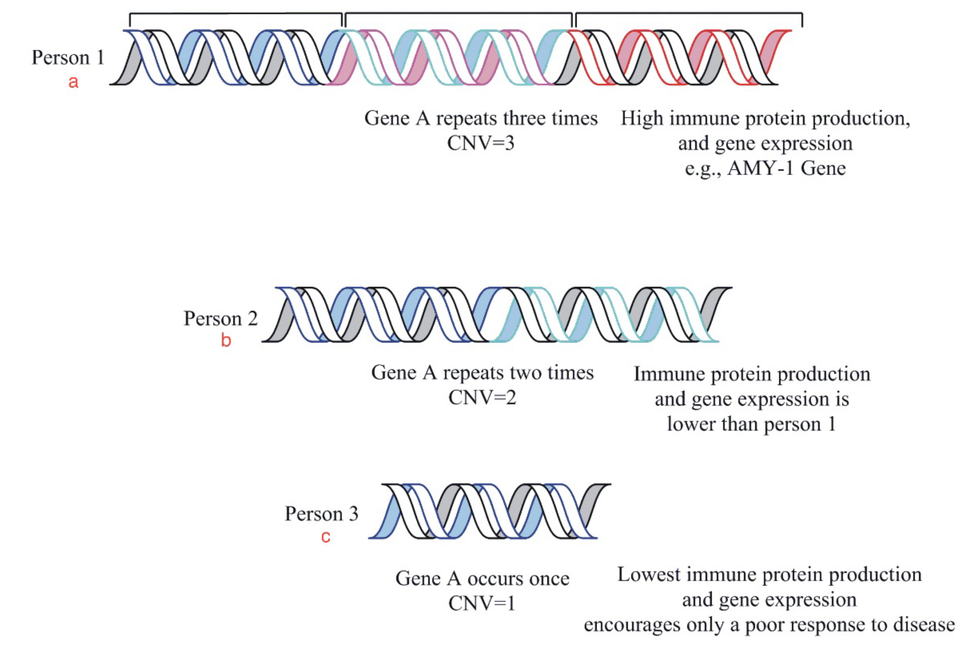 Vaccines 11 00319 g004