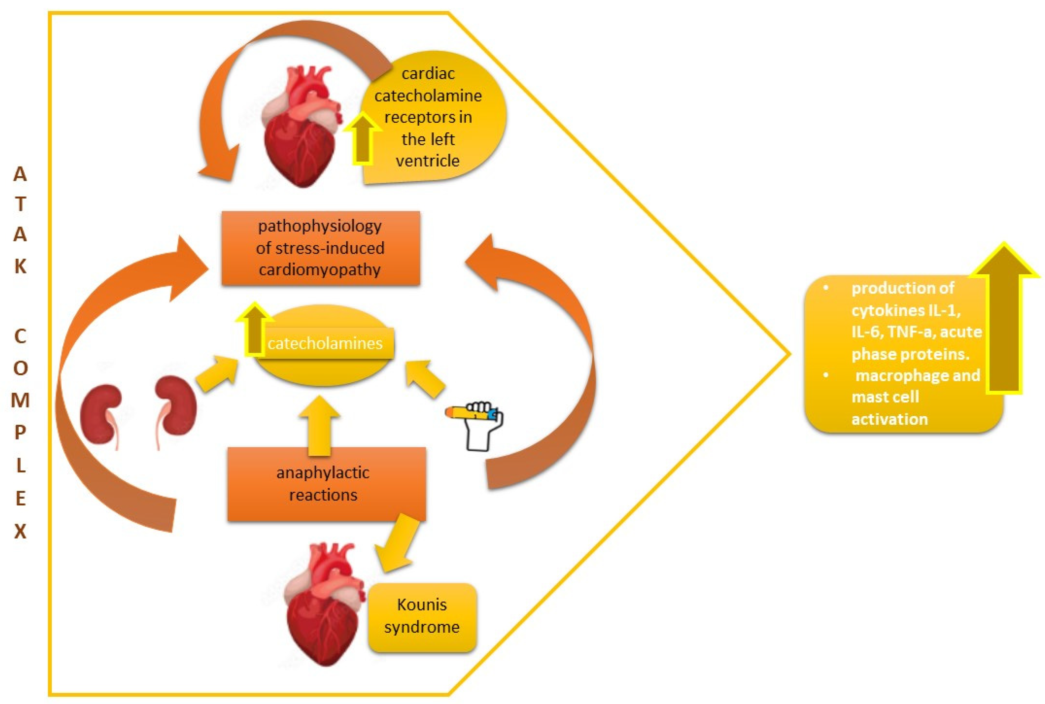 Vaccines 11 00322 g001